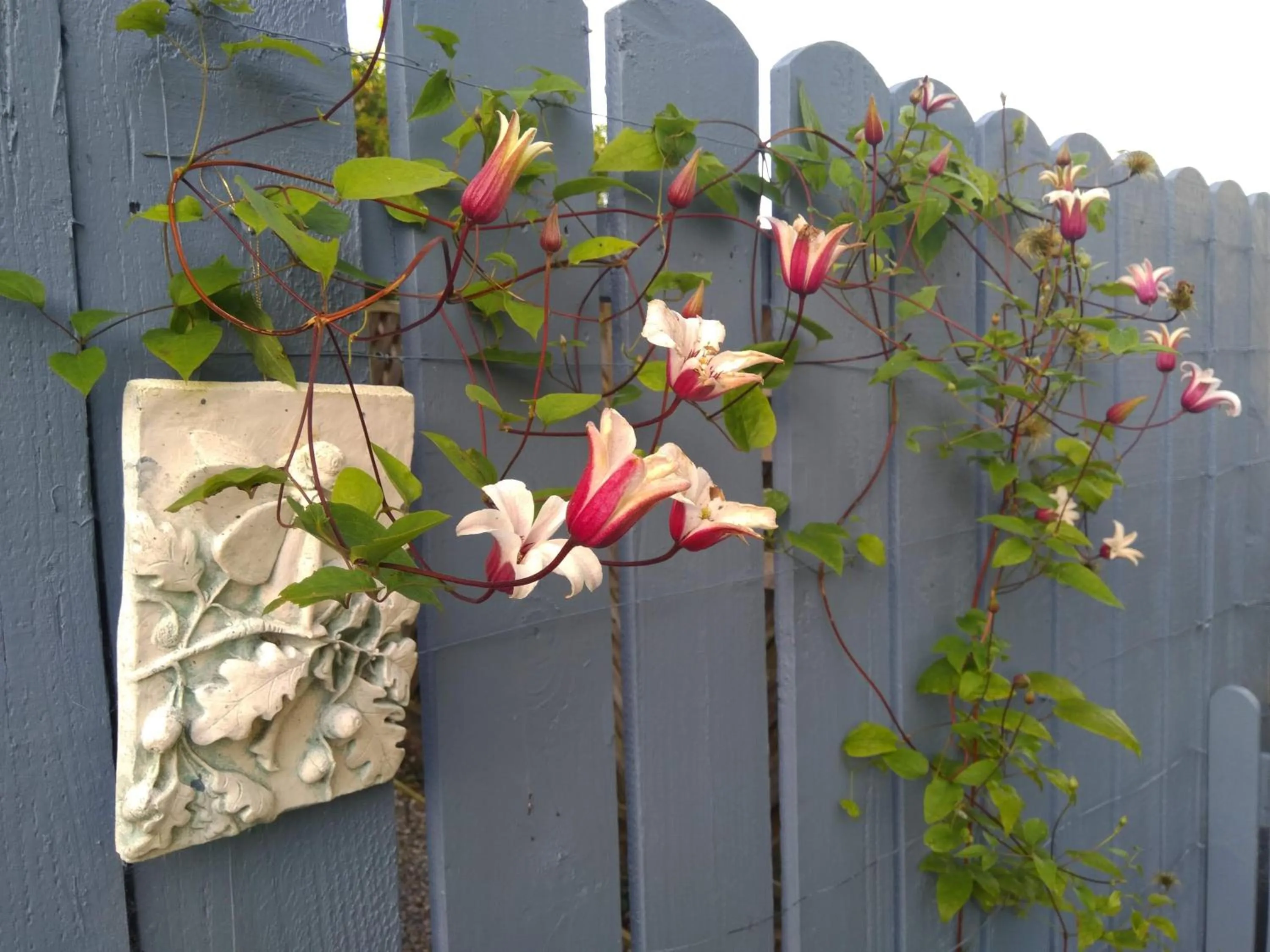 Garden in Twin Oaks Bed & Breakfast