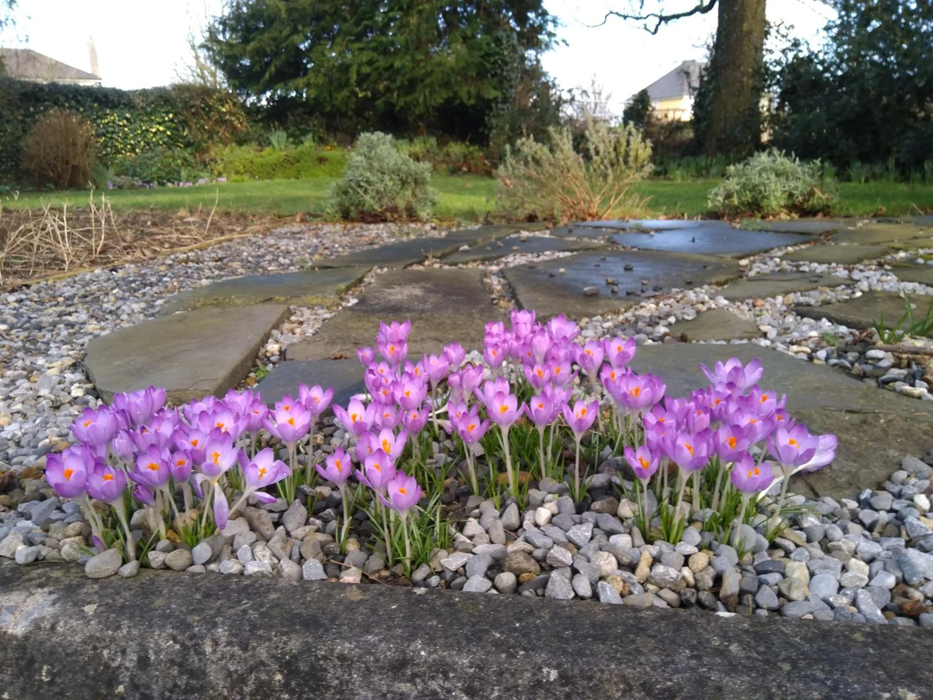 Garden in Twin Oaks Bed & Breakfast