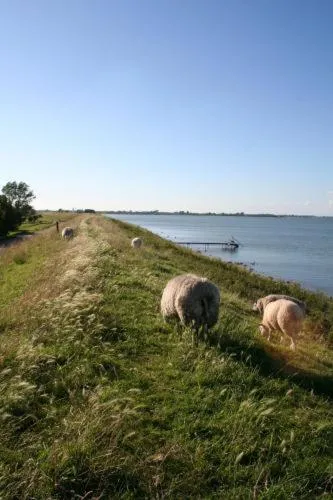 Day in 't Wapen van Middelie