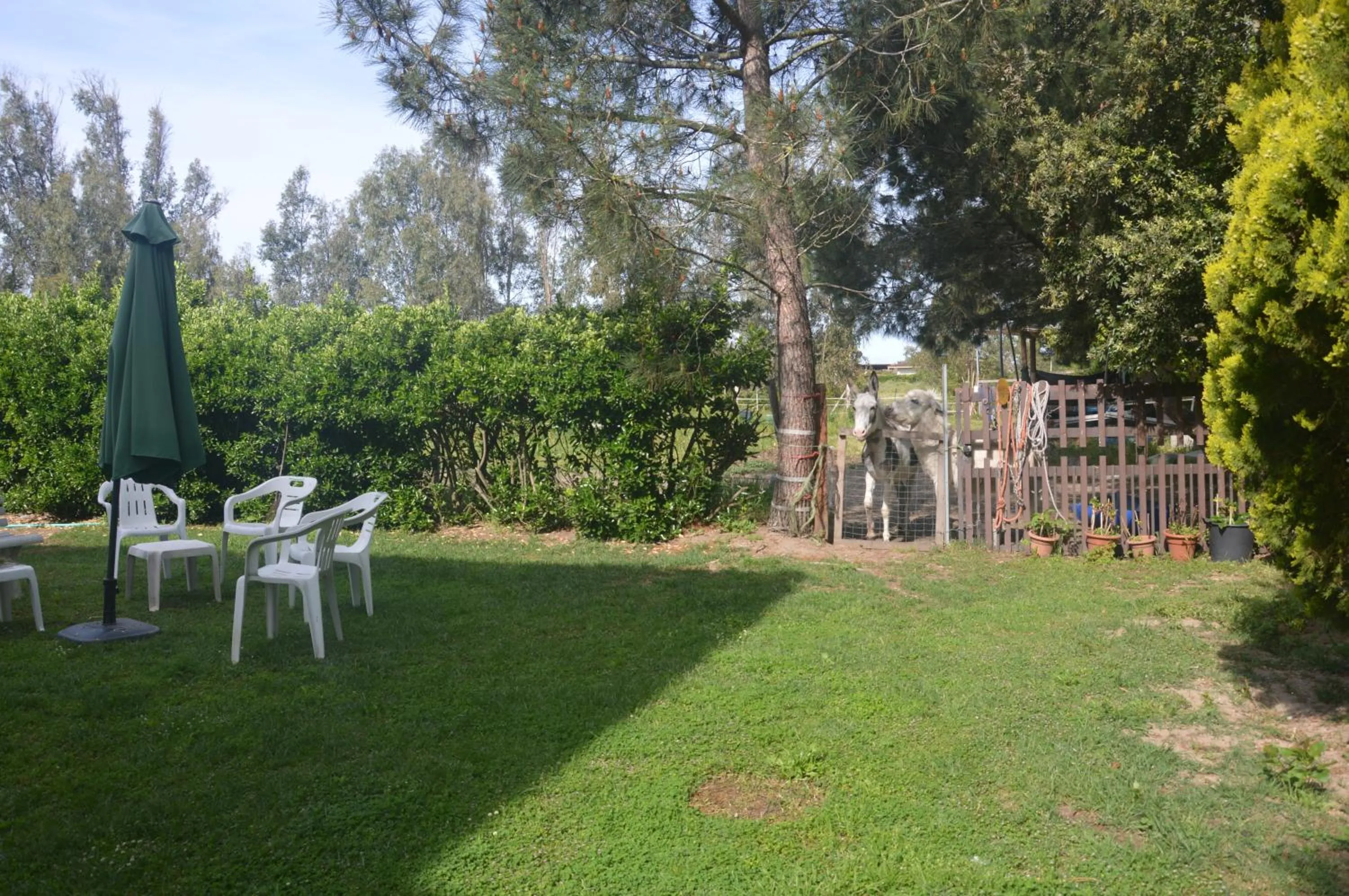 Staff in B&B Fra e Fe