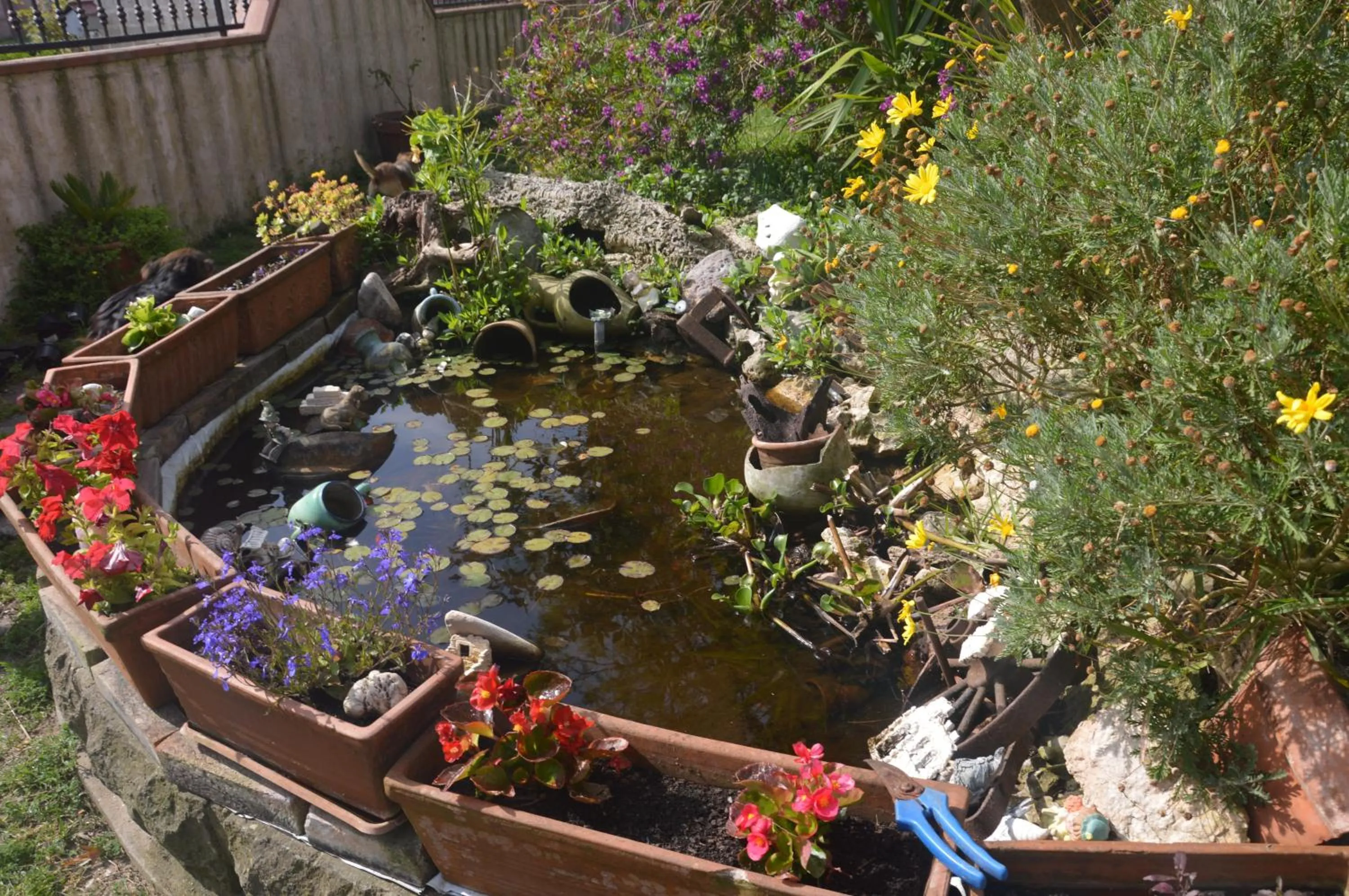 Garden in B&B Fra e Fe