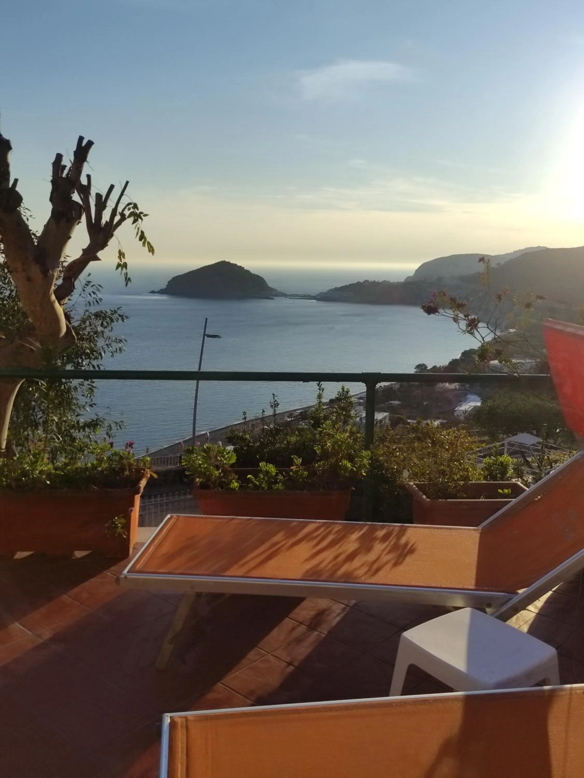 Balcony/Terrace in Hotel Villa al Mare
