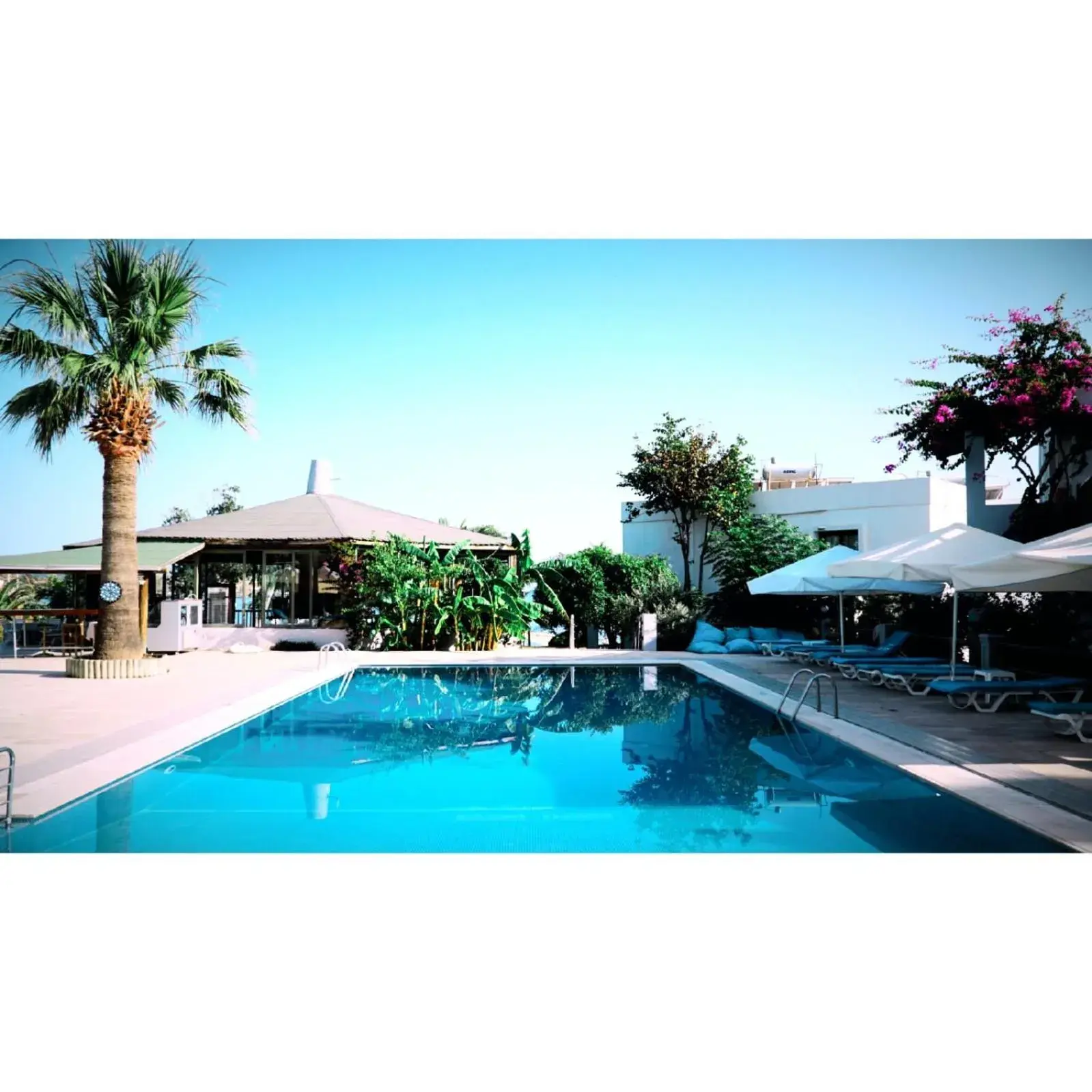 Restaurant/places to eat in Gumbet Cove Hotel Restaurant/places to eat in Gumbet Cove Hotel