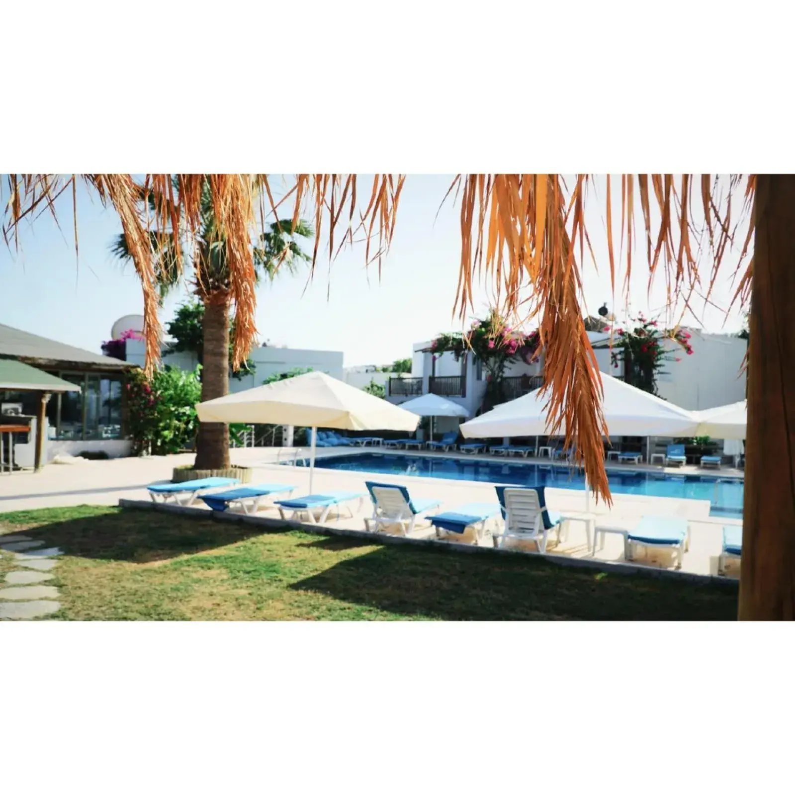 Swimming pool in Gumbet Cove Hotel Swimming pool in Gumbet Cove Hotel