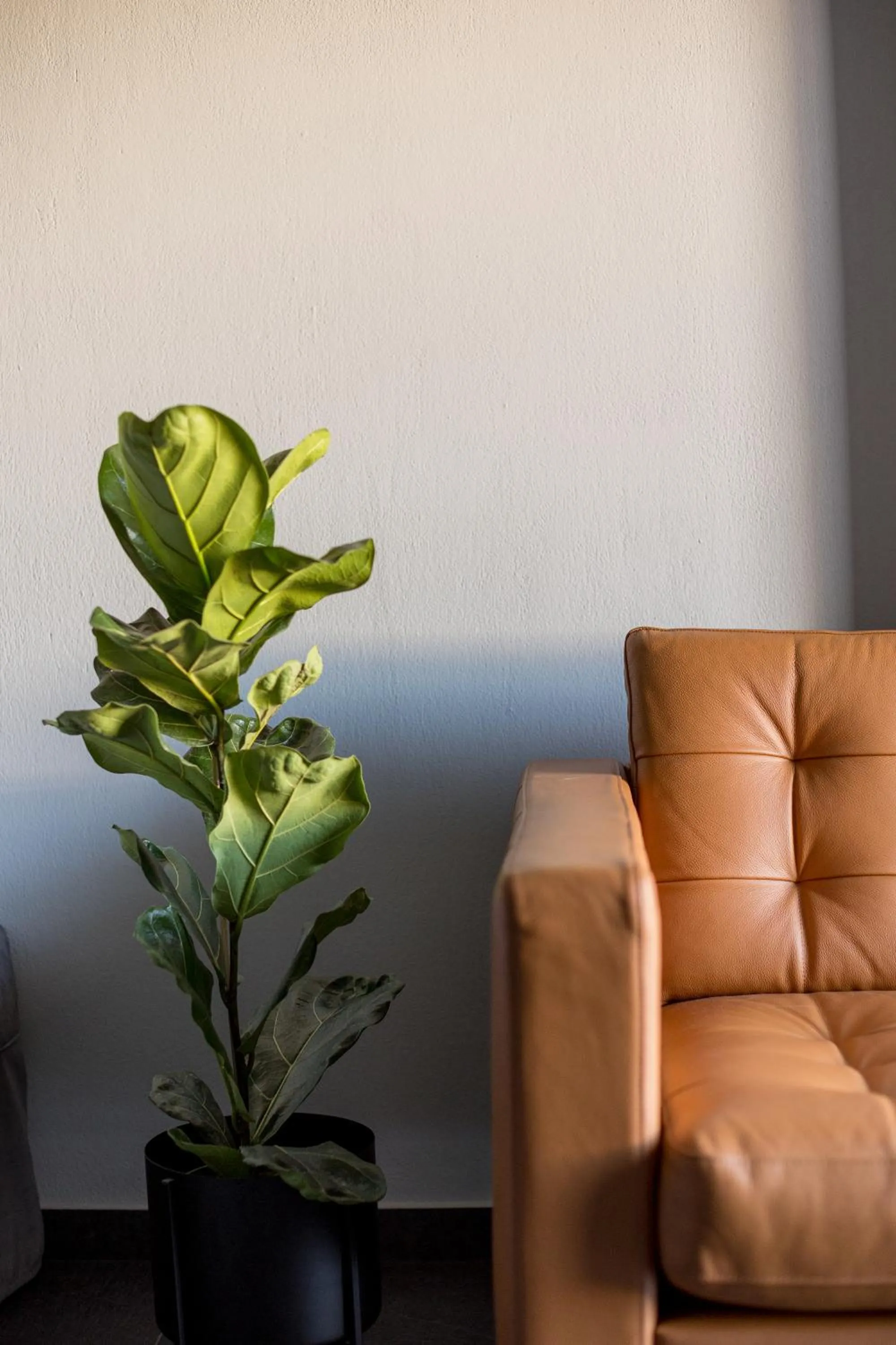 Seating area in THE URBANIST •inner city residences•