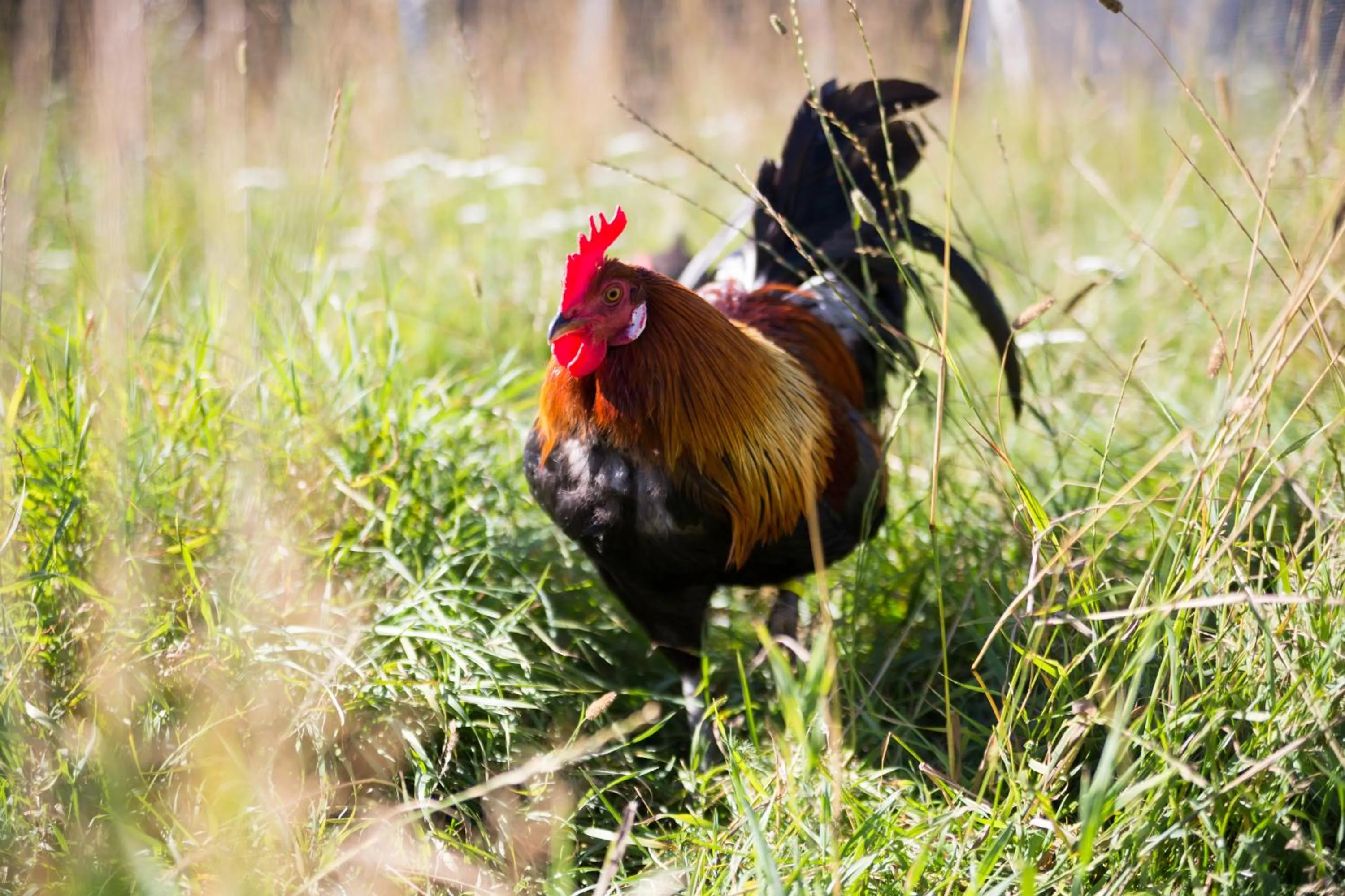 Children play ground in Nymarksminde