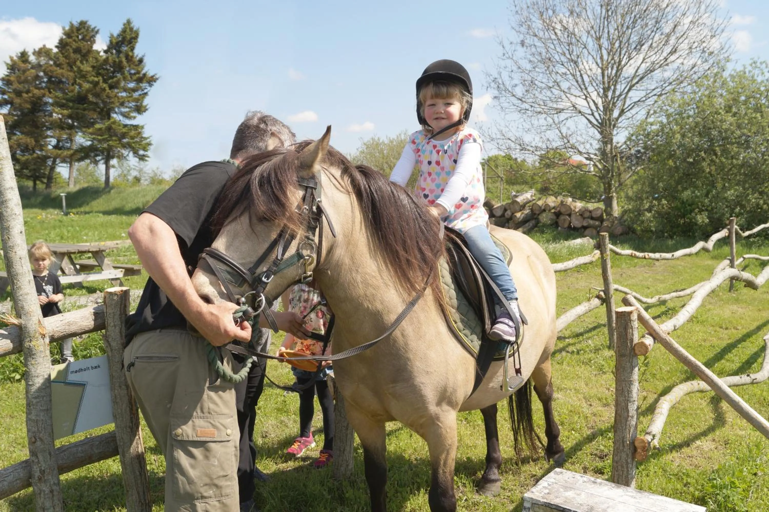 Horse-riding in Nymarksminde
