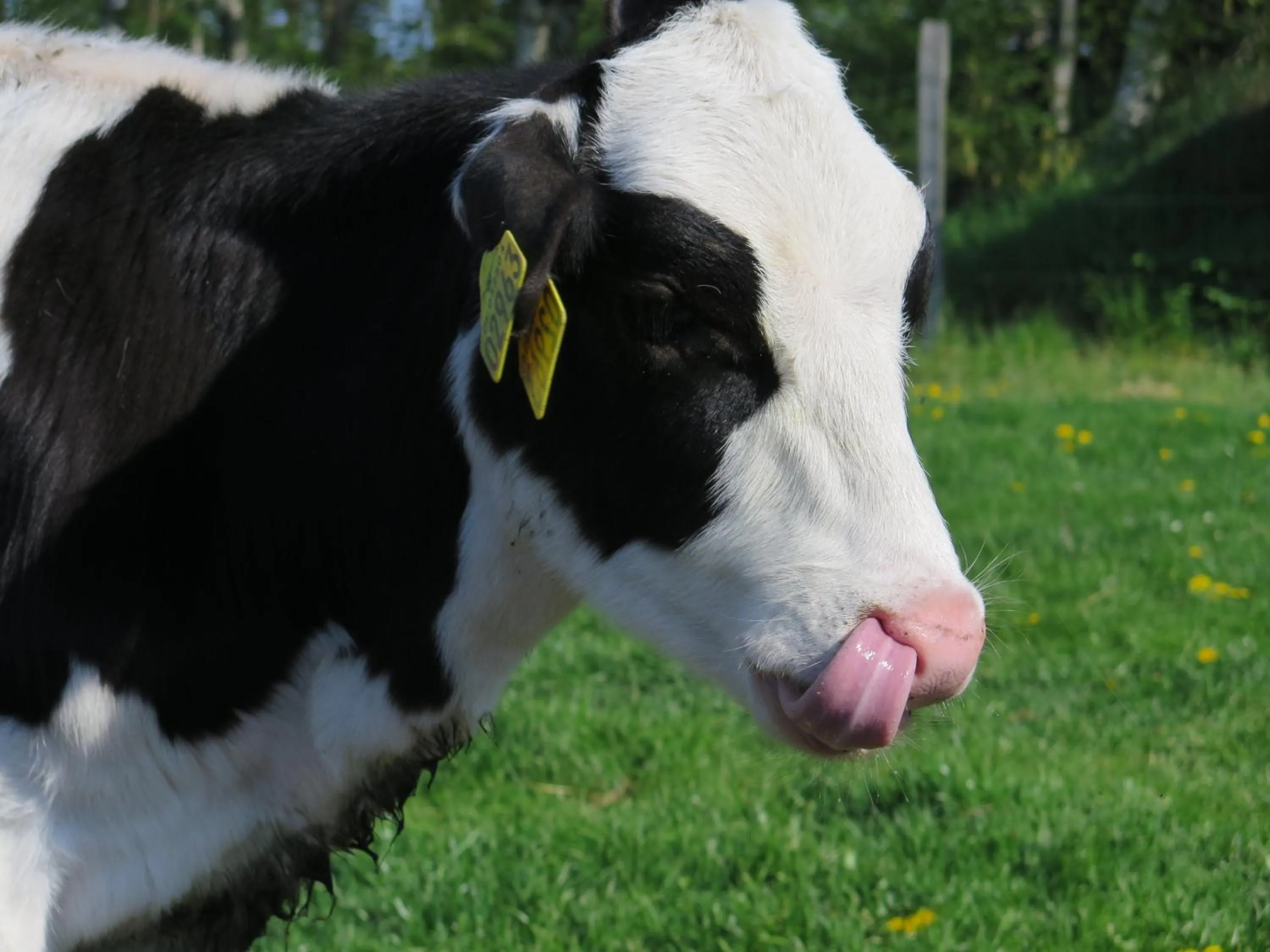 Children play ground in Nymarksminde