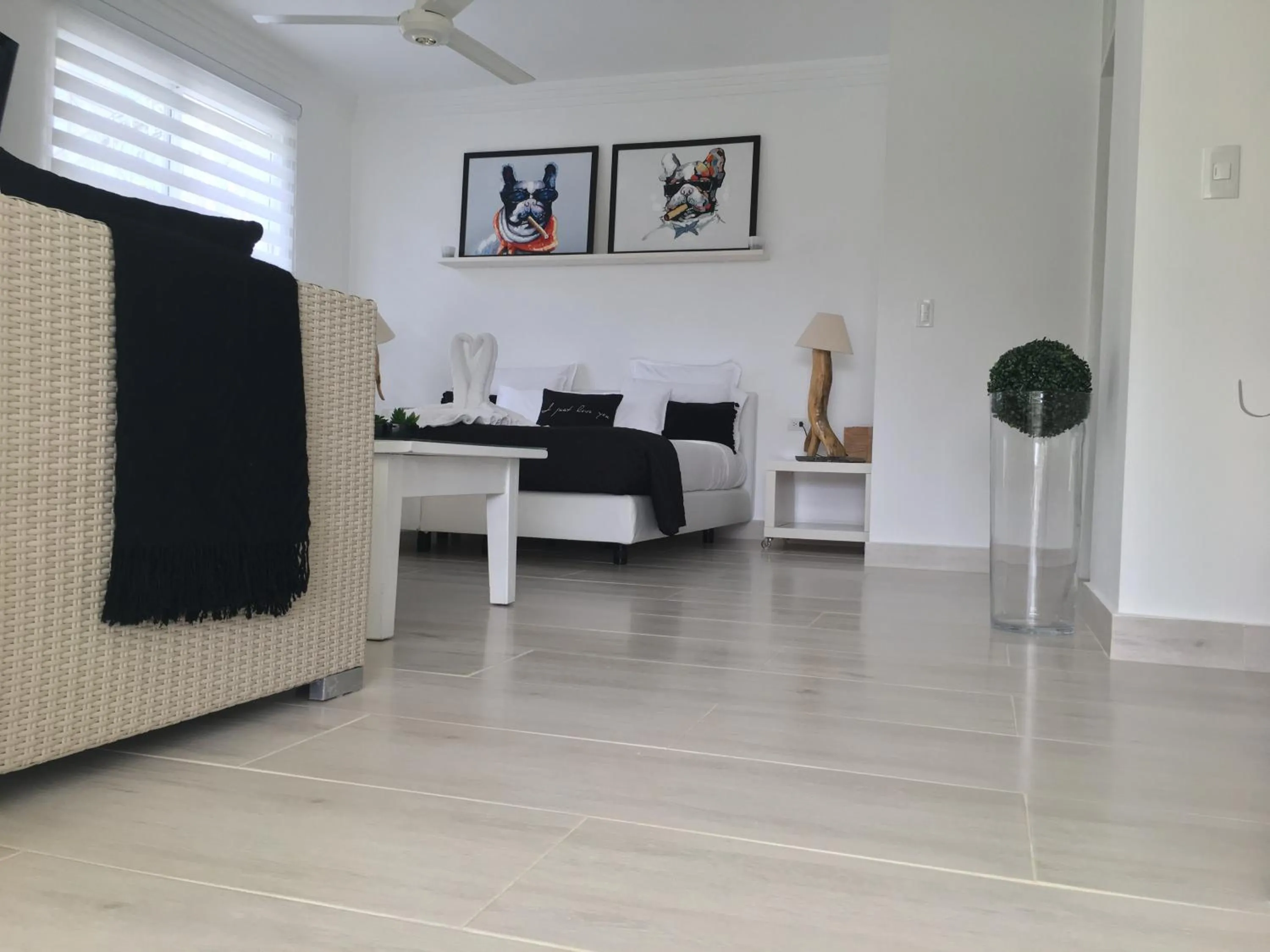 TV and multimedia in Casa Veintiuno