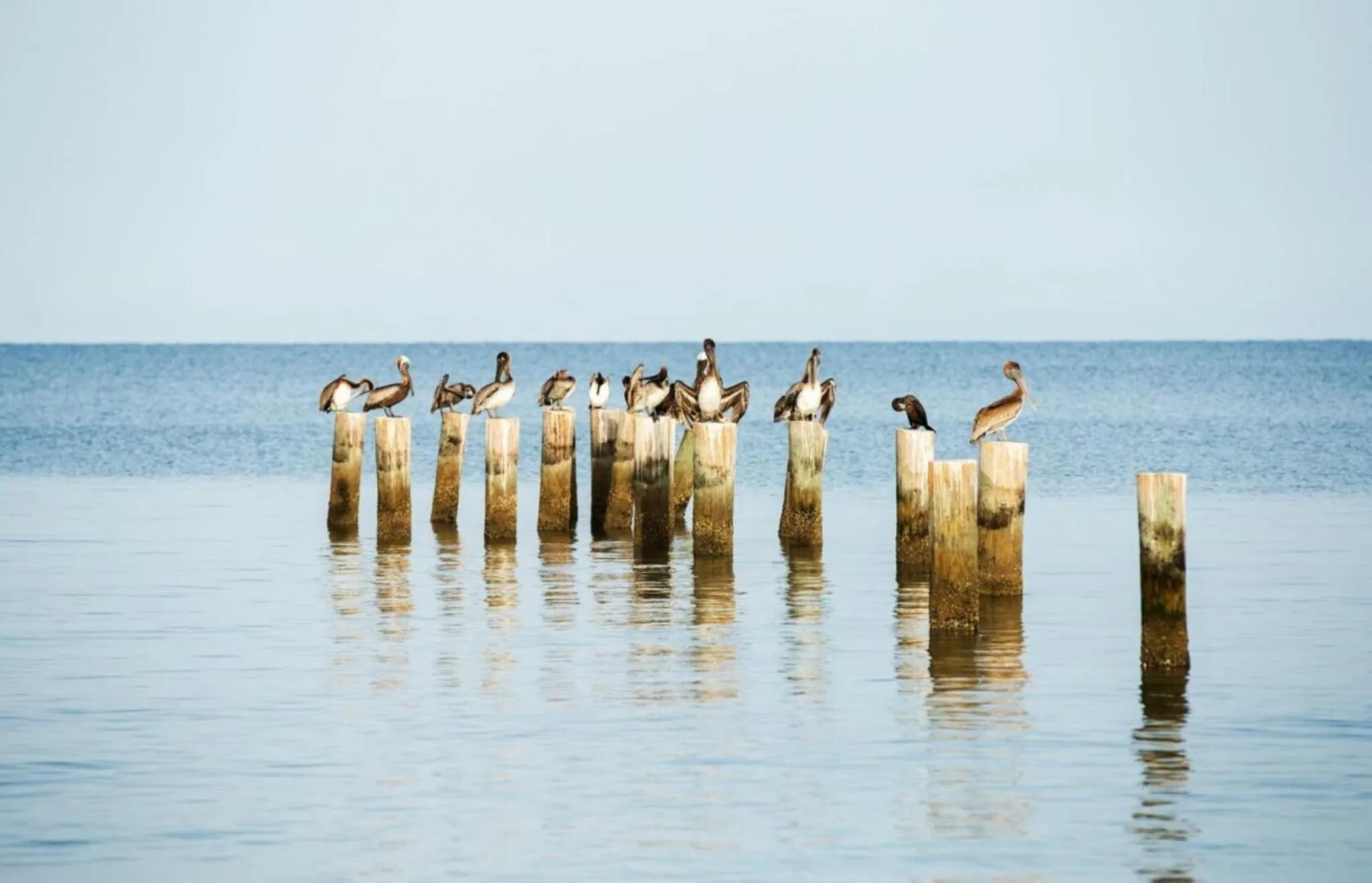 Day in Tuscan Vacation Rental