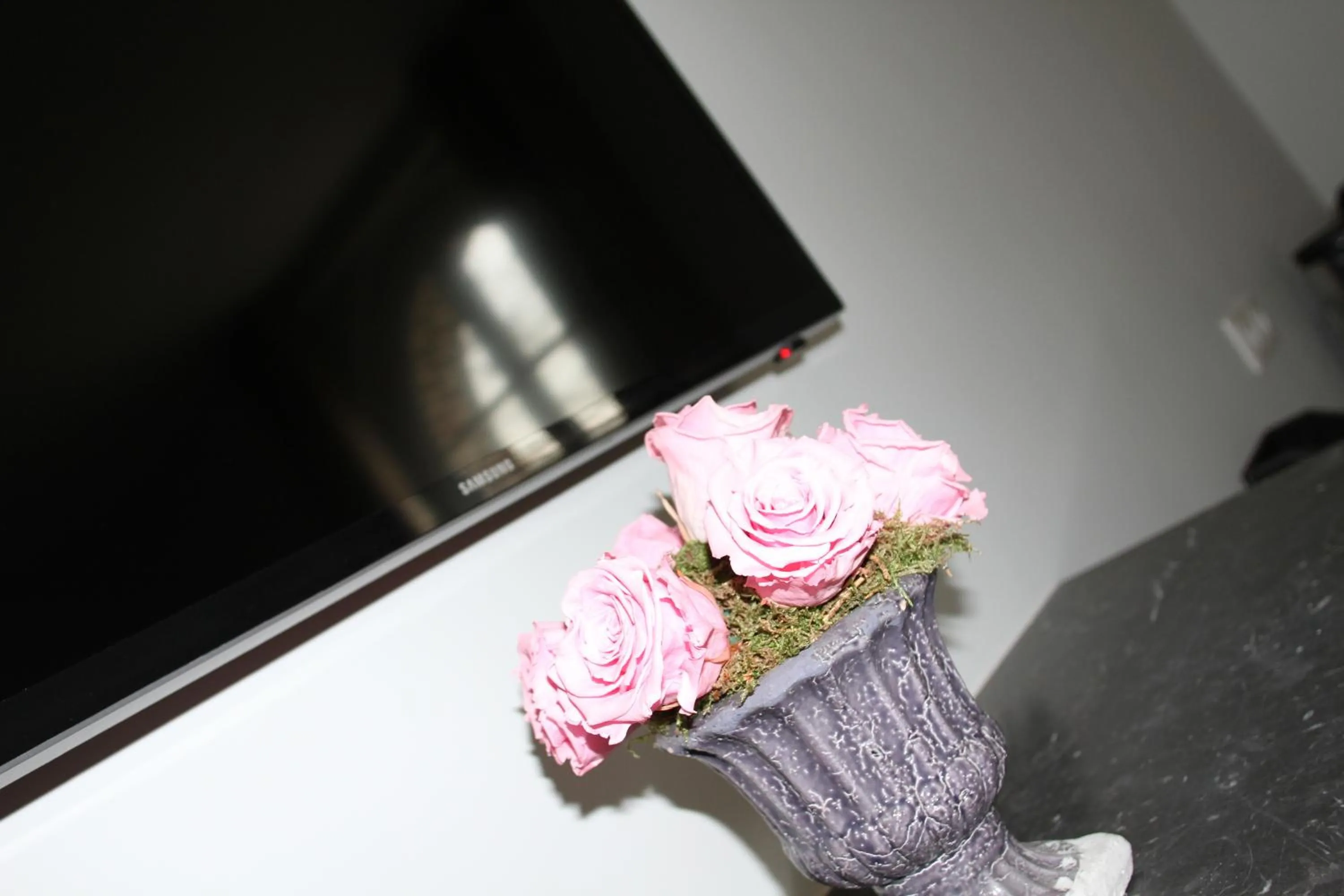 TV and multimedia in Château de la Folie