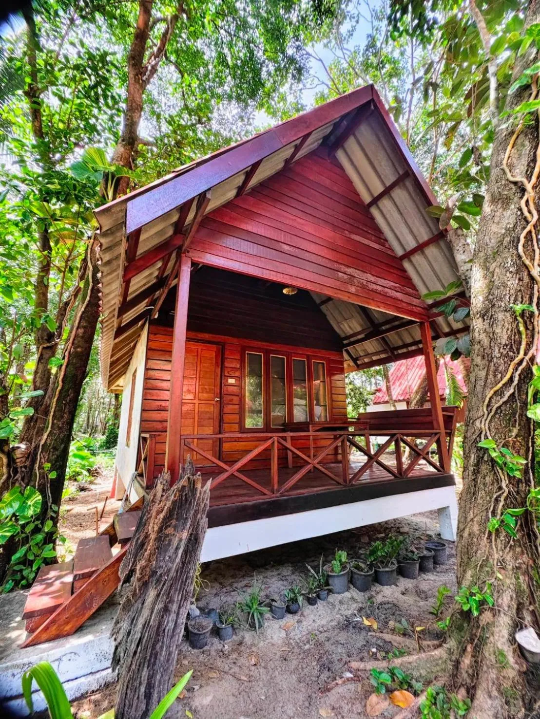 Property building in Ziggy Stardust