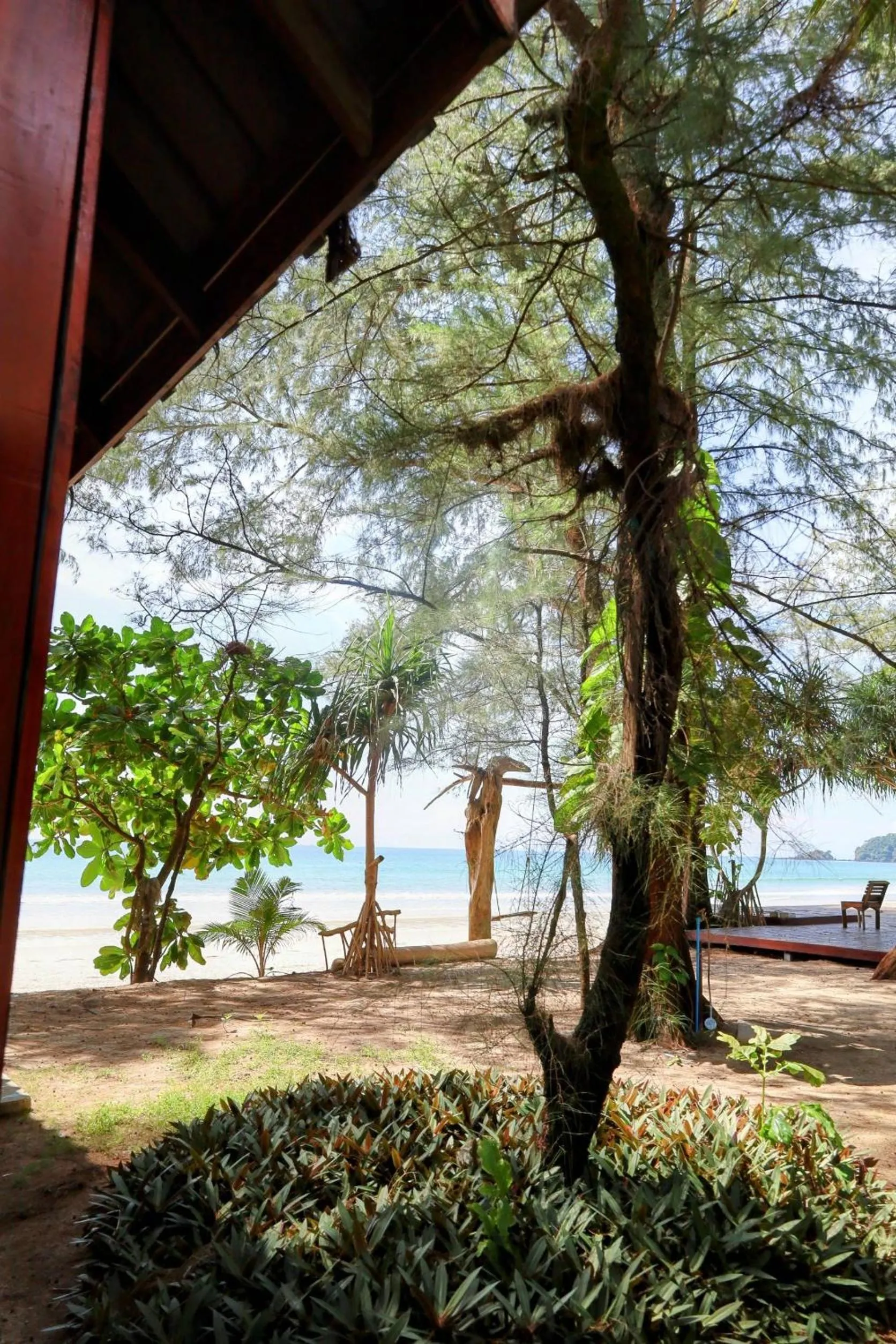 Day in Ziggy Stardust