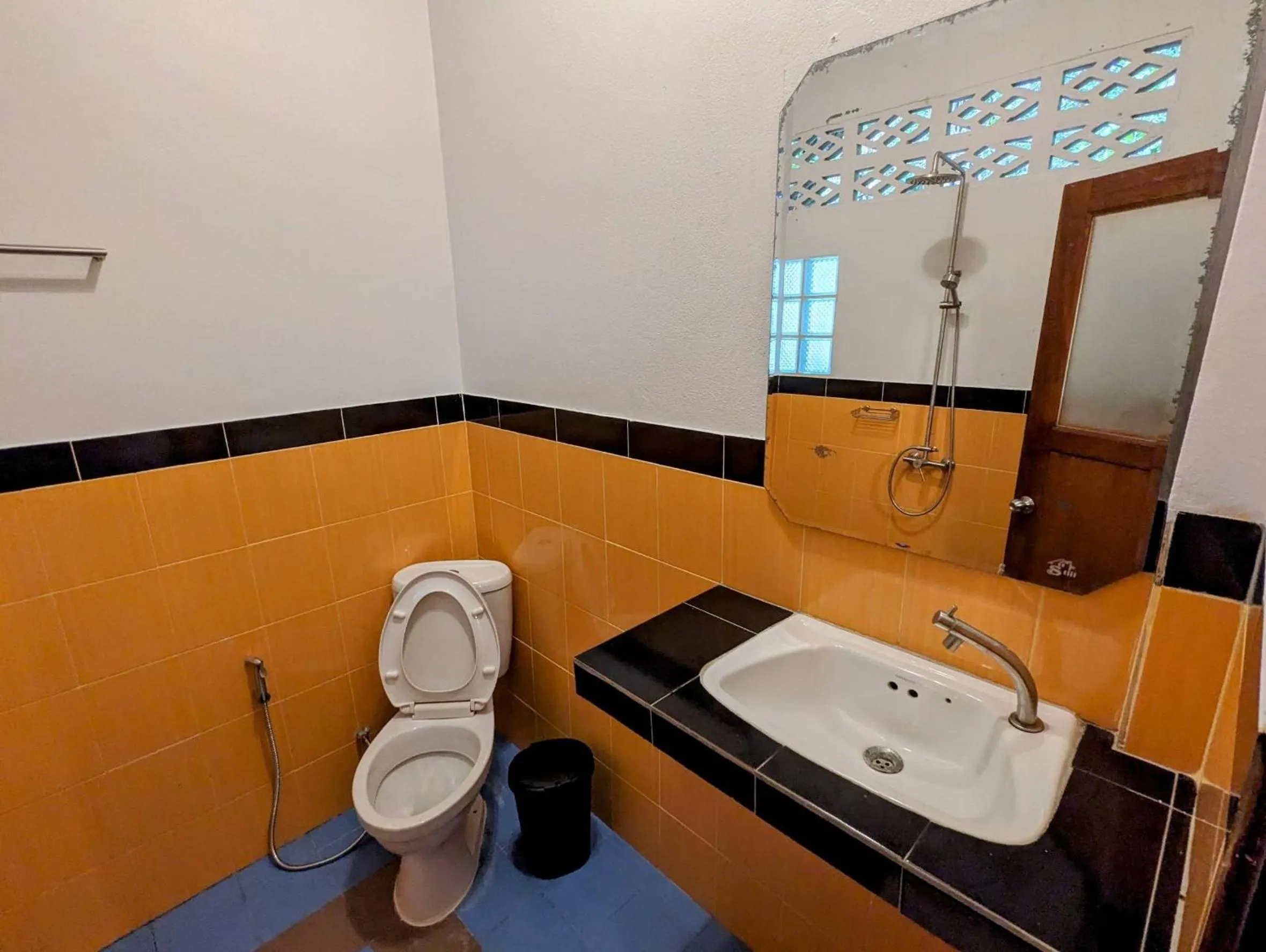 Toilet in Ziggy Stardust