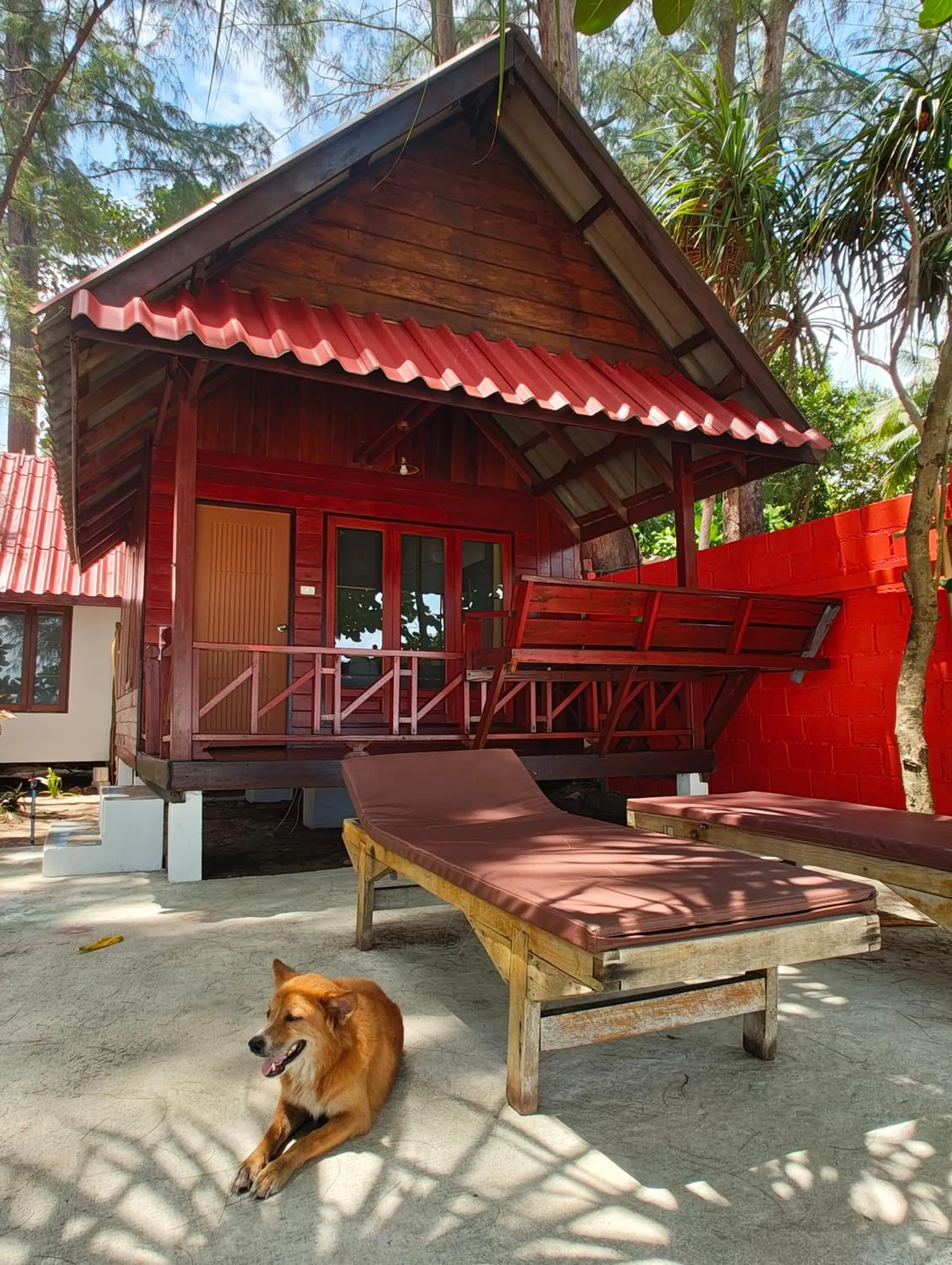 Property building in Ziggy Stardust