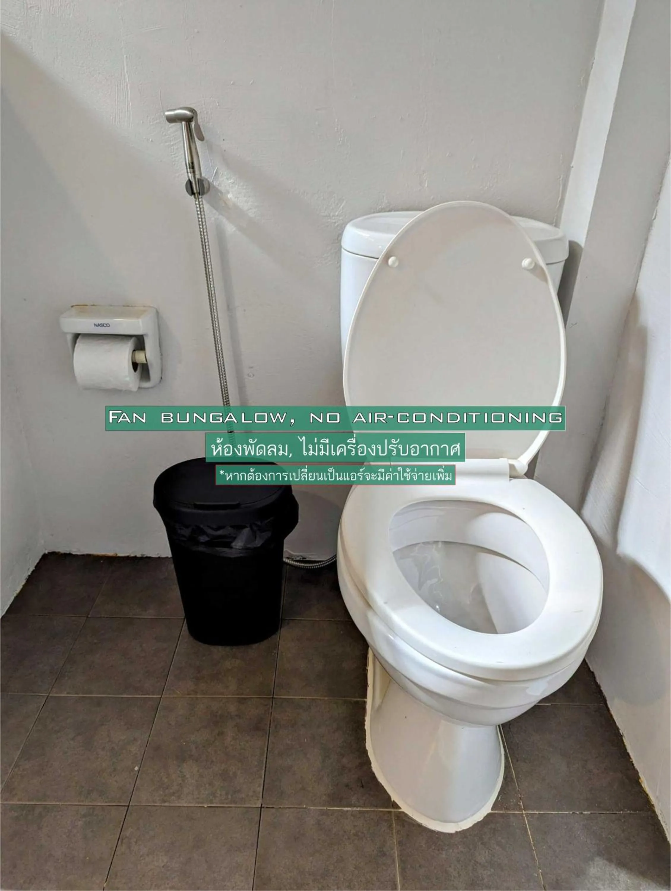 Toilet in Ziggy Stardust