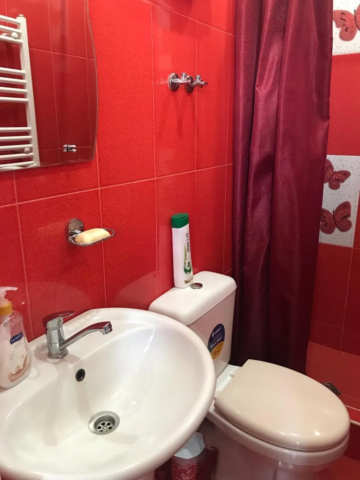 Max Hotel Gogi Alibegashvili