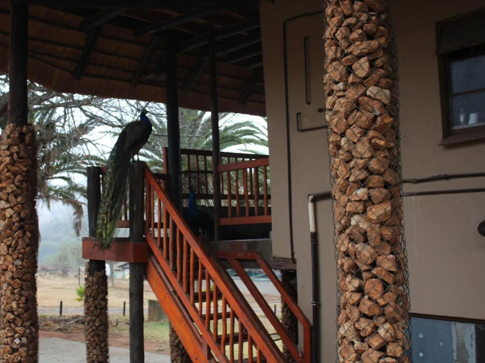 Balcony/Terrace in Emahlathini Guest Farm