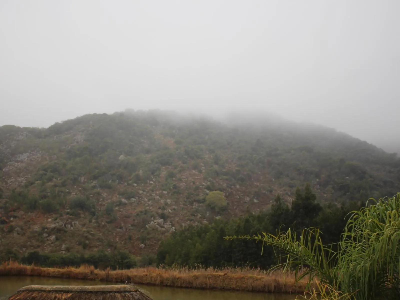 Property building in Emahlathini Guest Farm