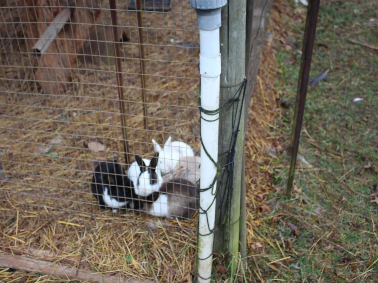 Property building in Emahlathini Guest Farm