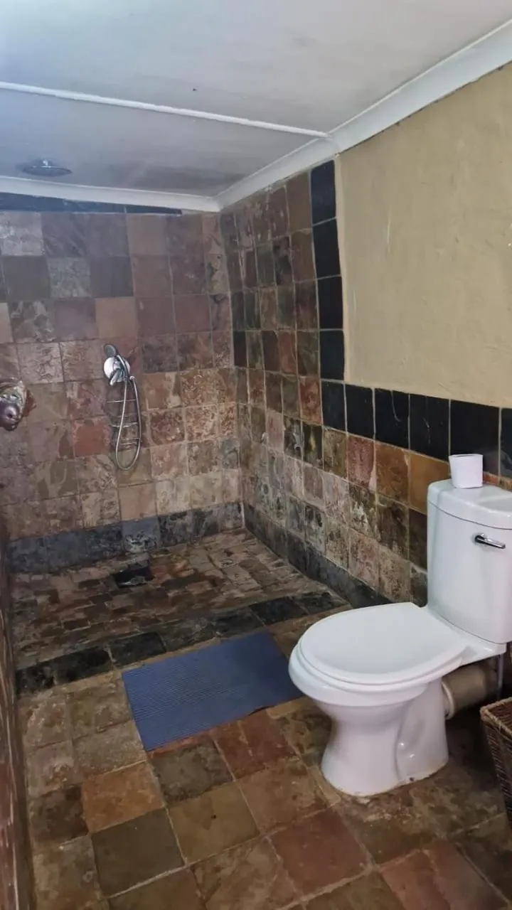 Emahlathini Guest Farm