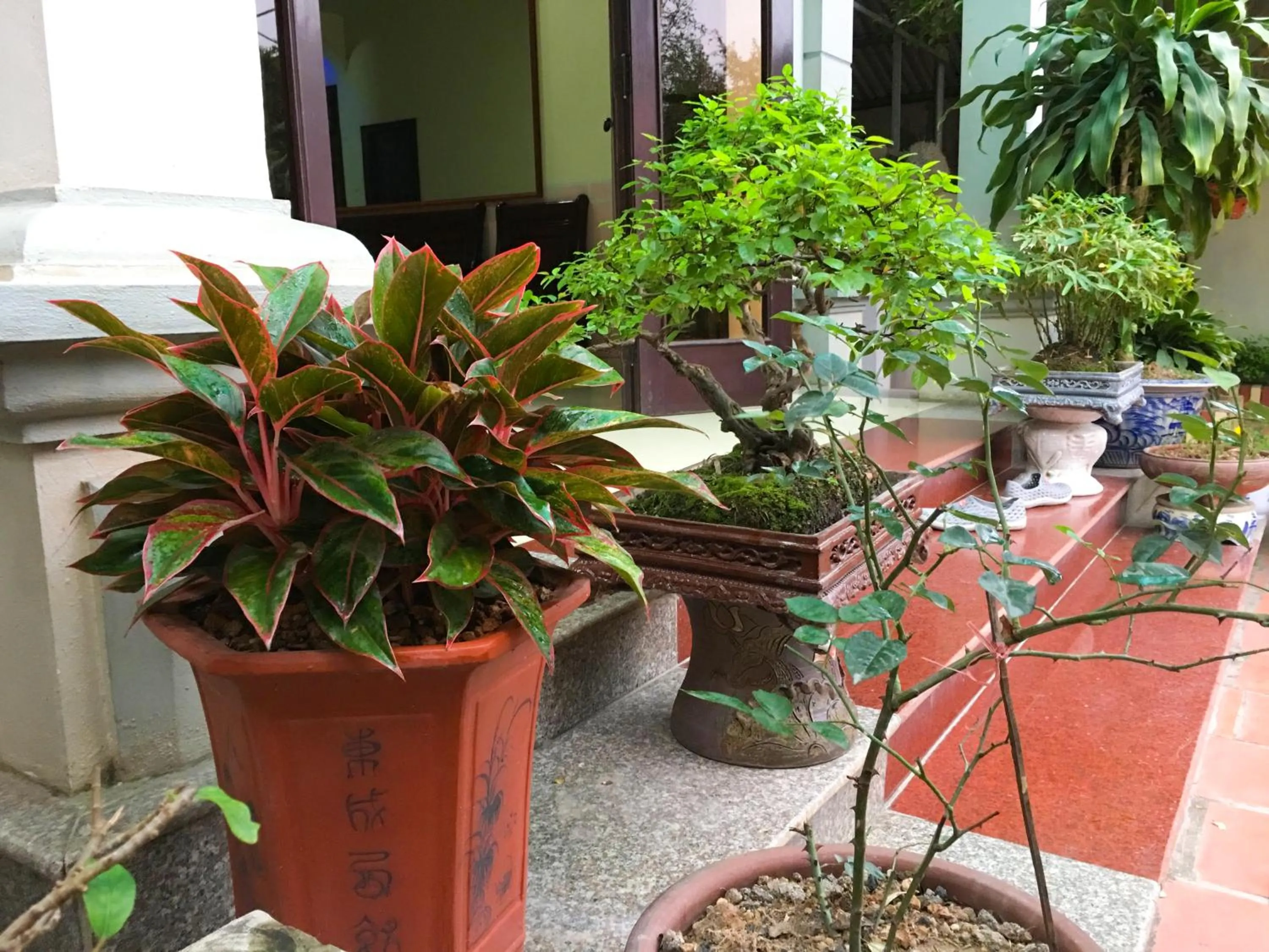 Minh Tâm Hotel ( Nhà Nghỉ Minh Tâm )