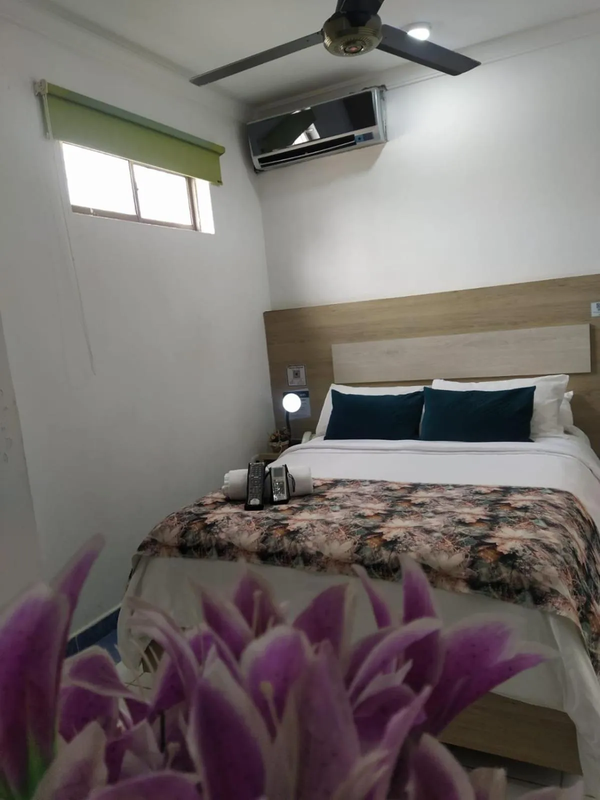 Bed in Hotel La Casa 1