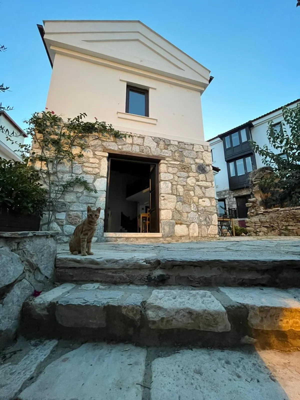 Property building in AGON Ephesus