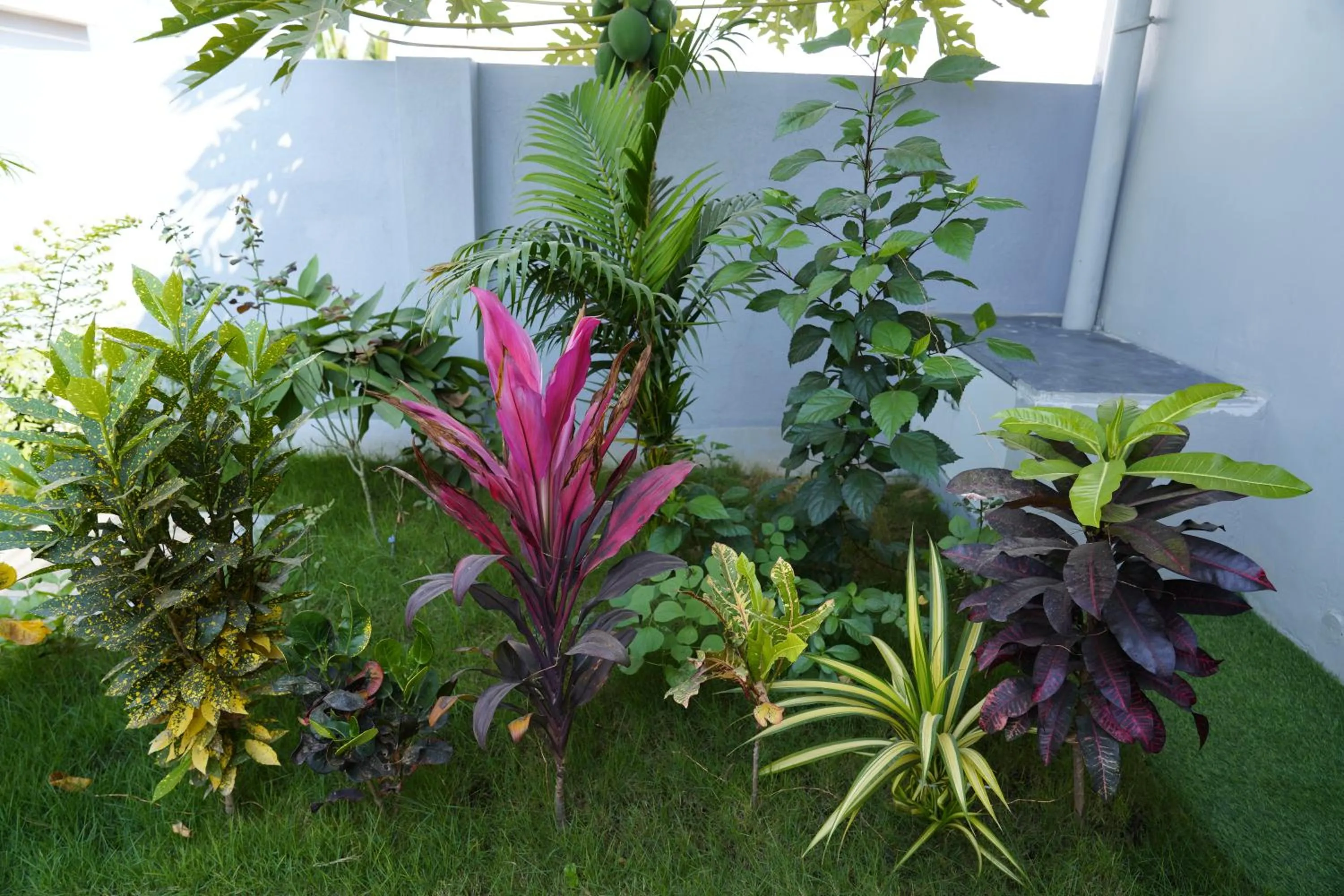 Day in Sri Sakthi Residence