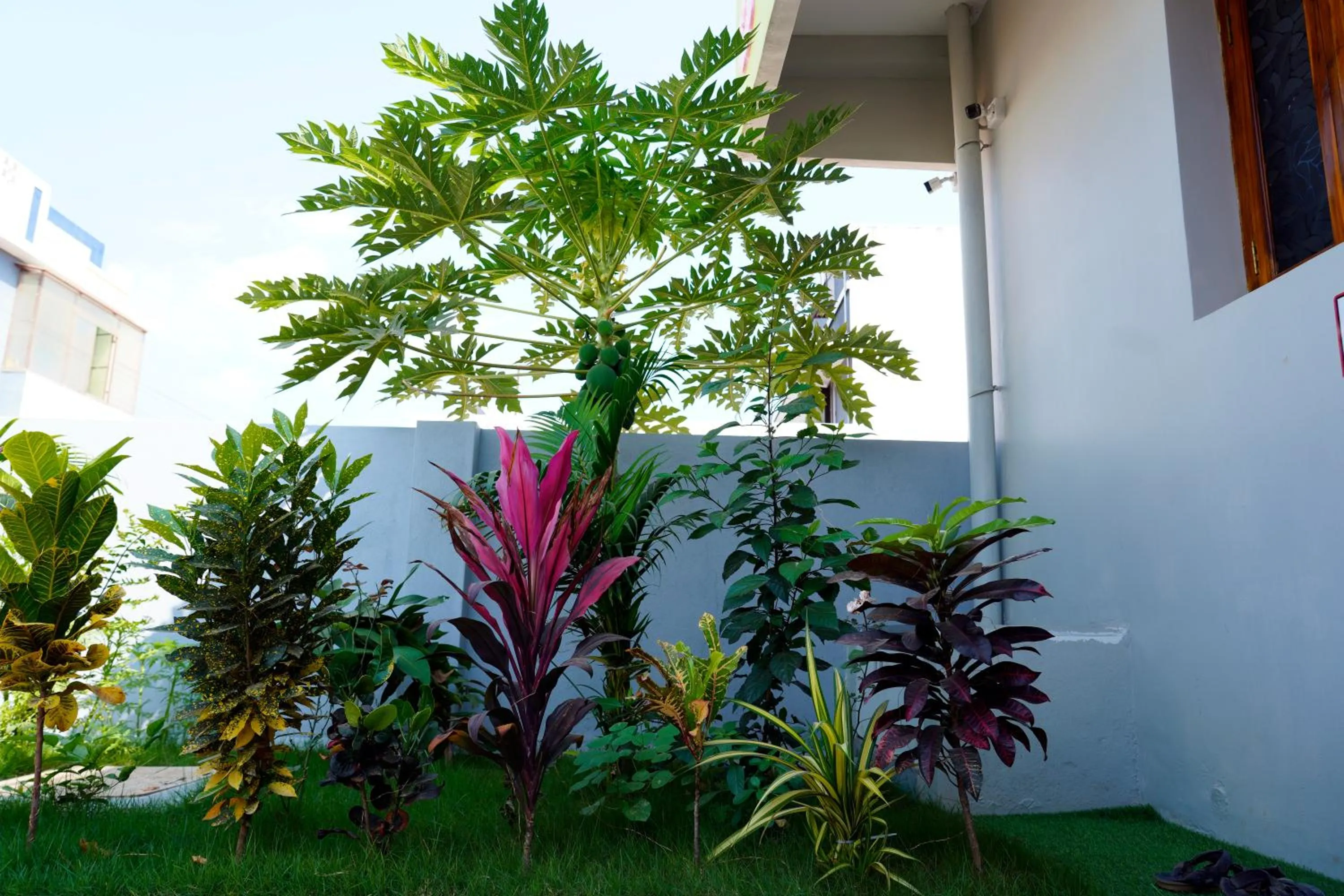 Spring in Sri Sakthi Residence