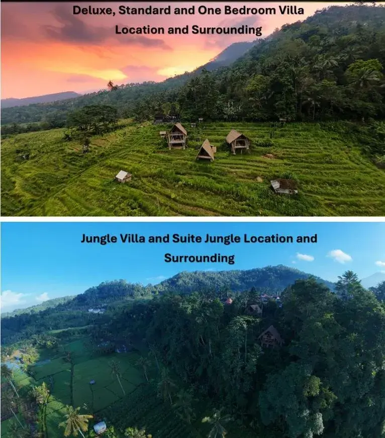 Photo of the whole room in Sandag Hill Photo of the whole room in Sandag Hill