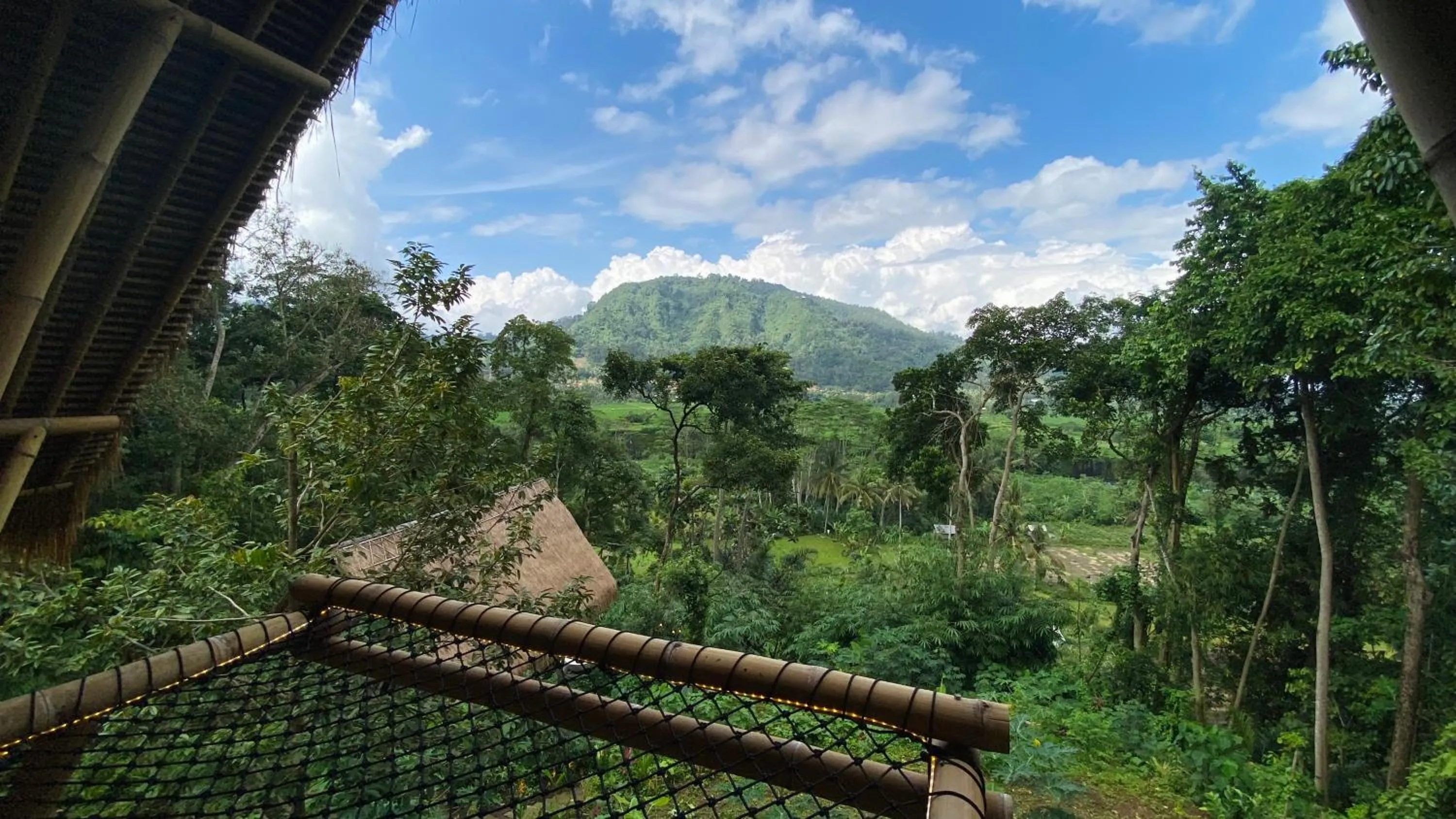 View (from property/room) in Sandag Hill