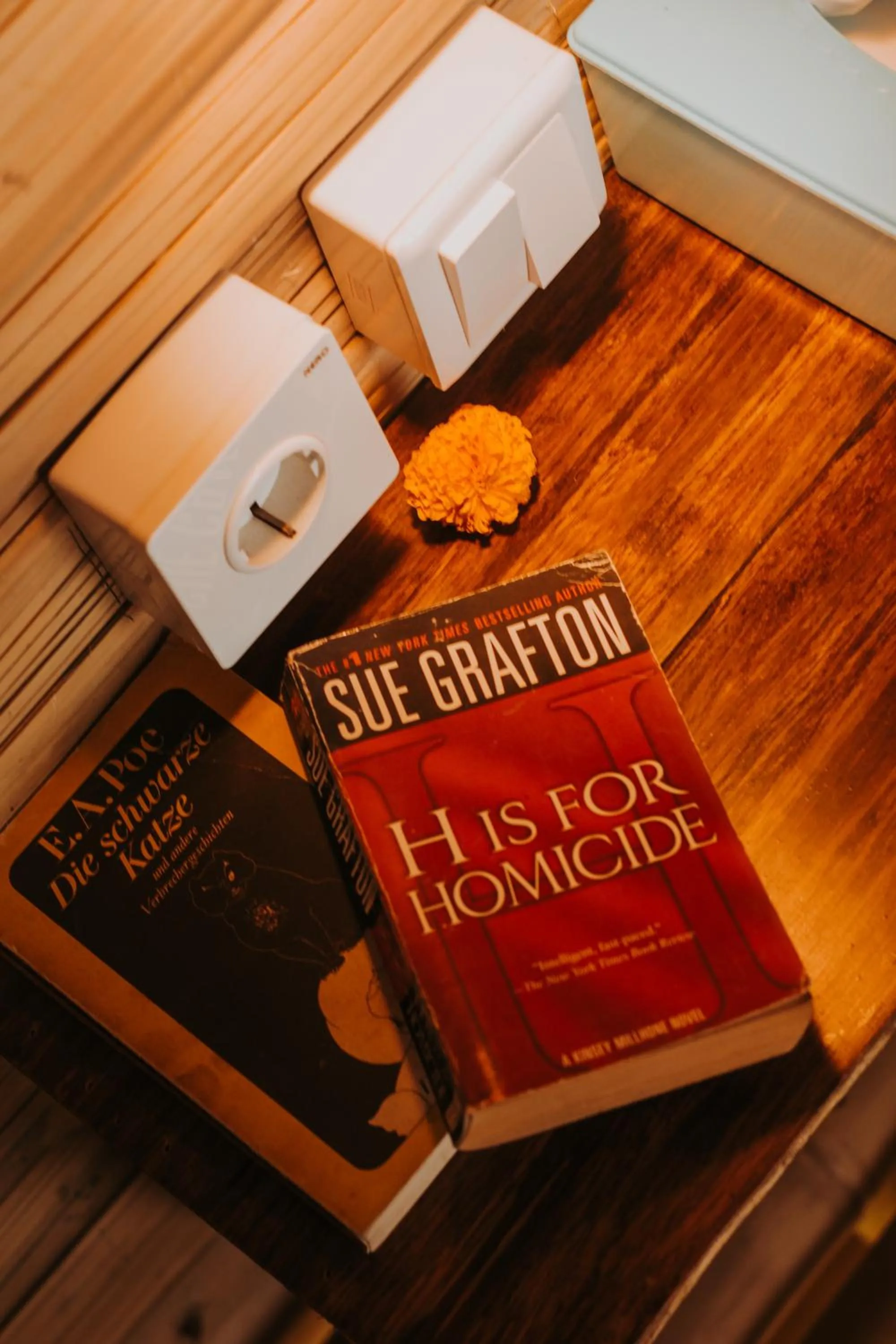 Other in Sandag Hill