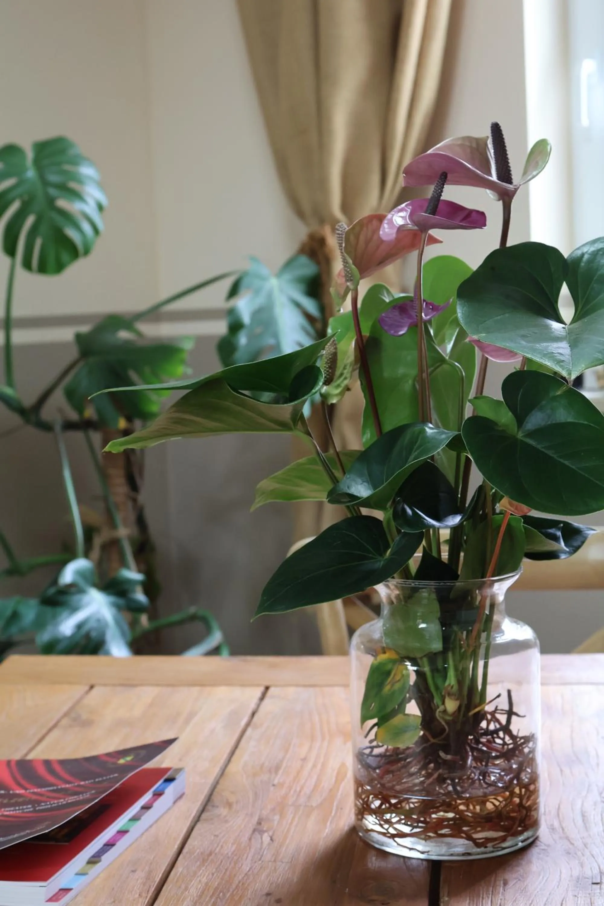 Decorative detail in Hotel Carolaruh