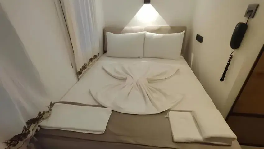 Economy Double Room in The Professor's Hotel Economy Double Room in The Professor's Hotel