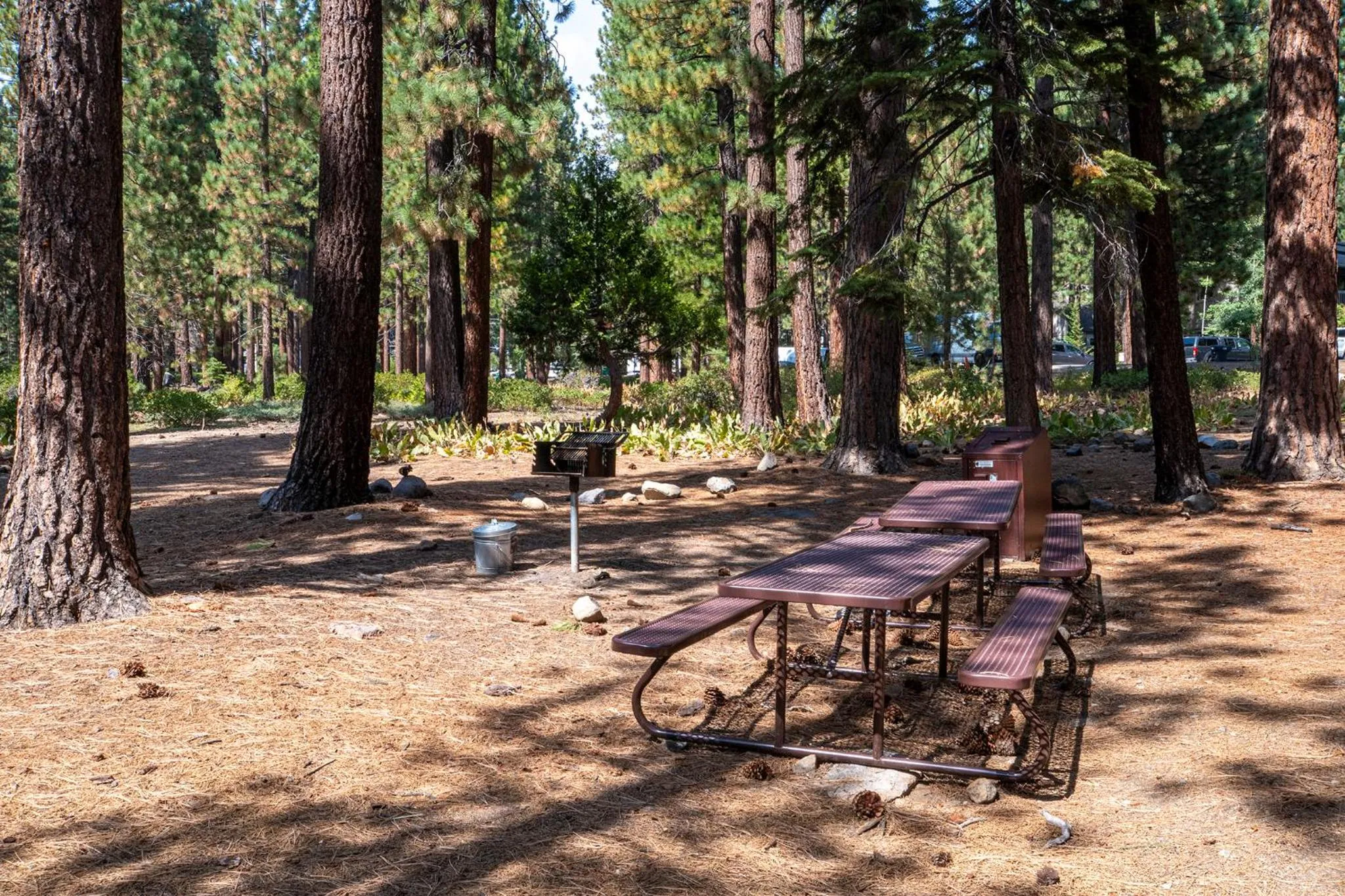 Natural landscape in Club Tahoe Resort