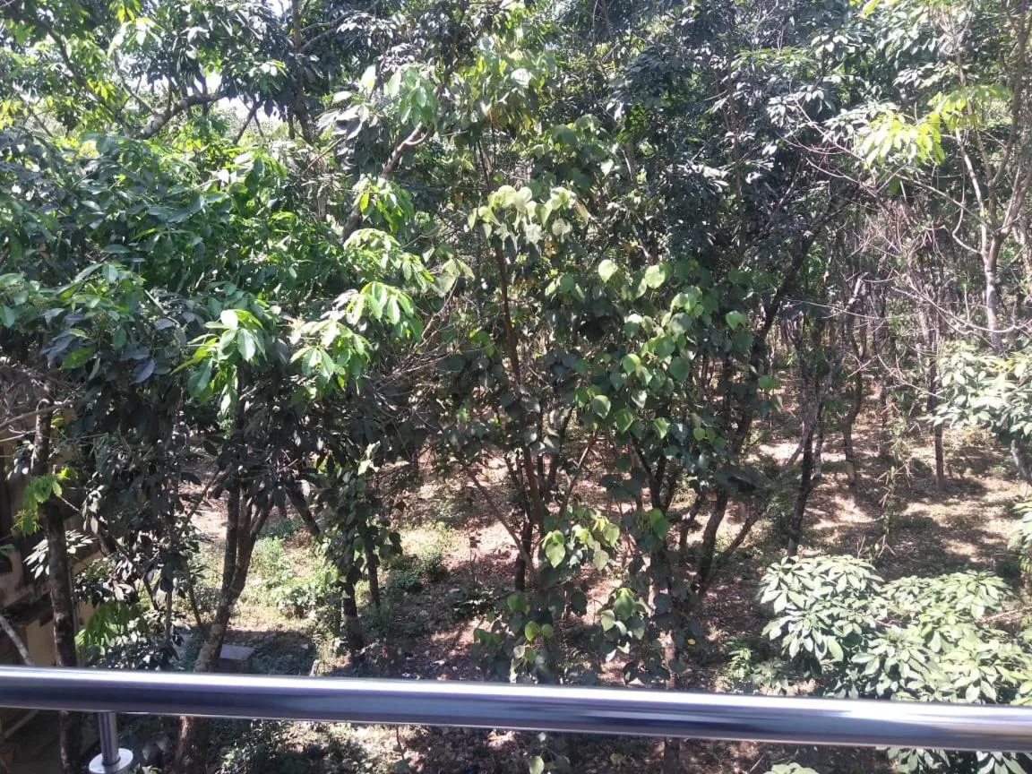 Day in Devatha Homestay, Guest House, Hotel,Dharmasthala-2