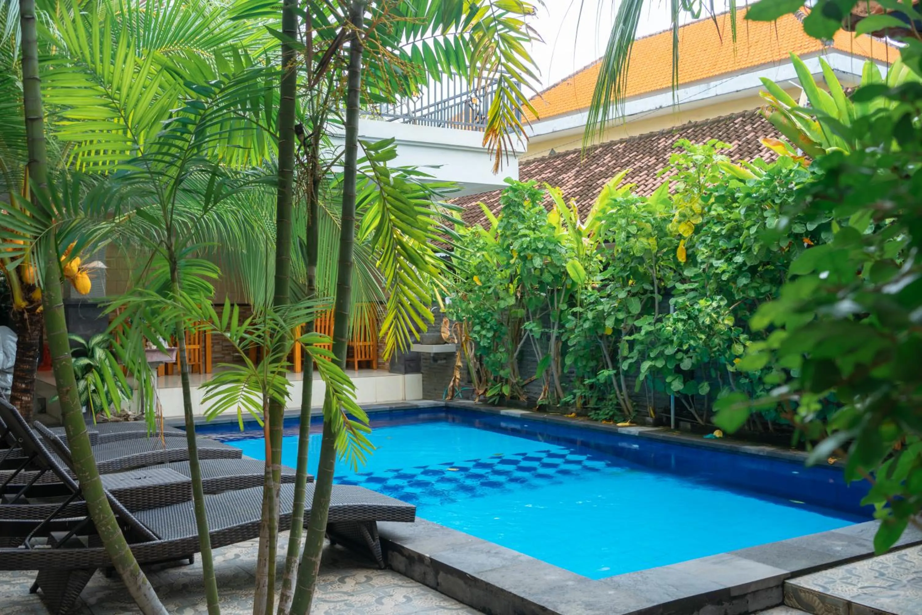 Spring in Wana Kubu Homestay