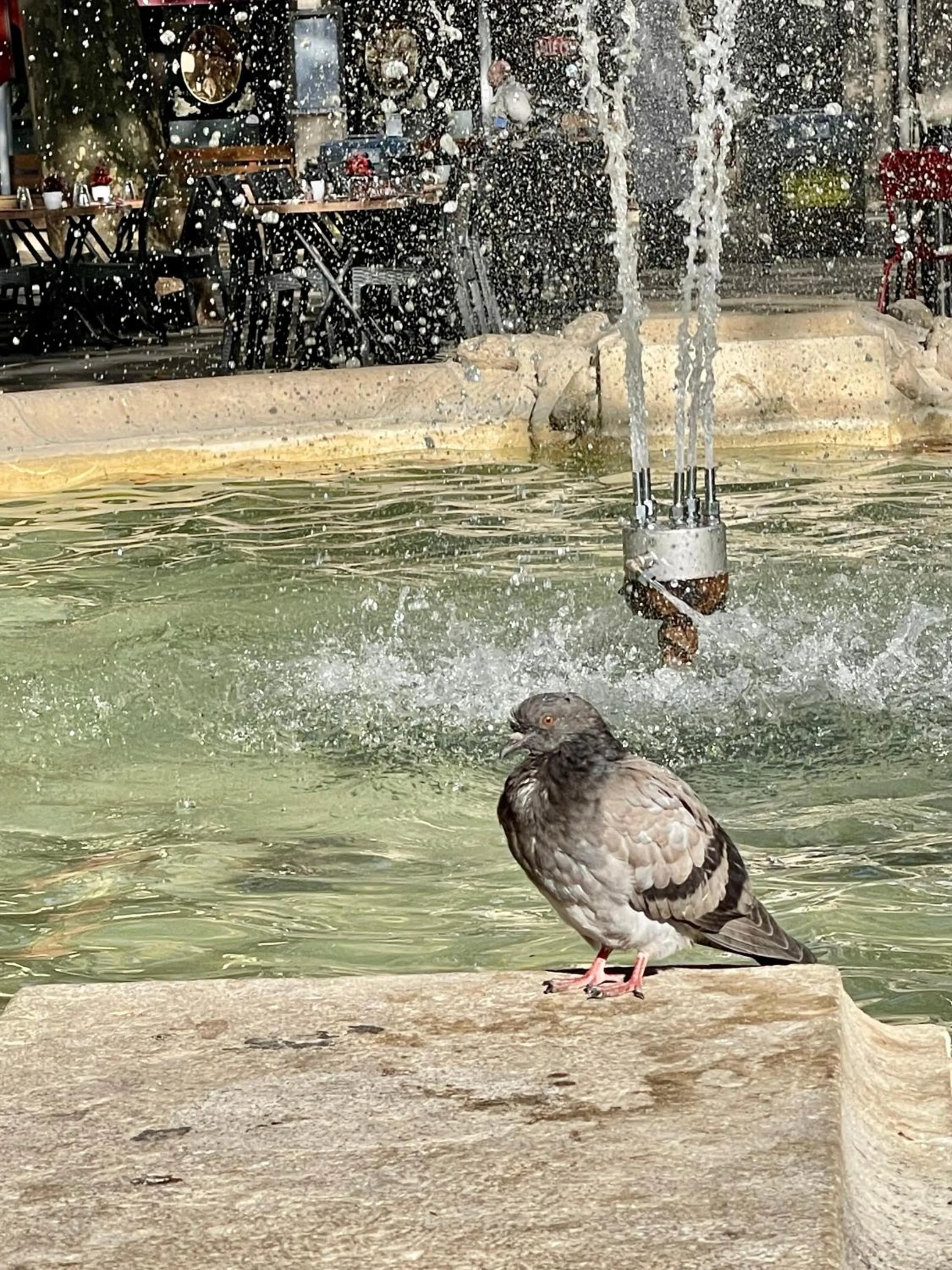 Day in Beauregard home