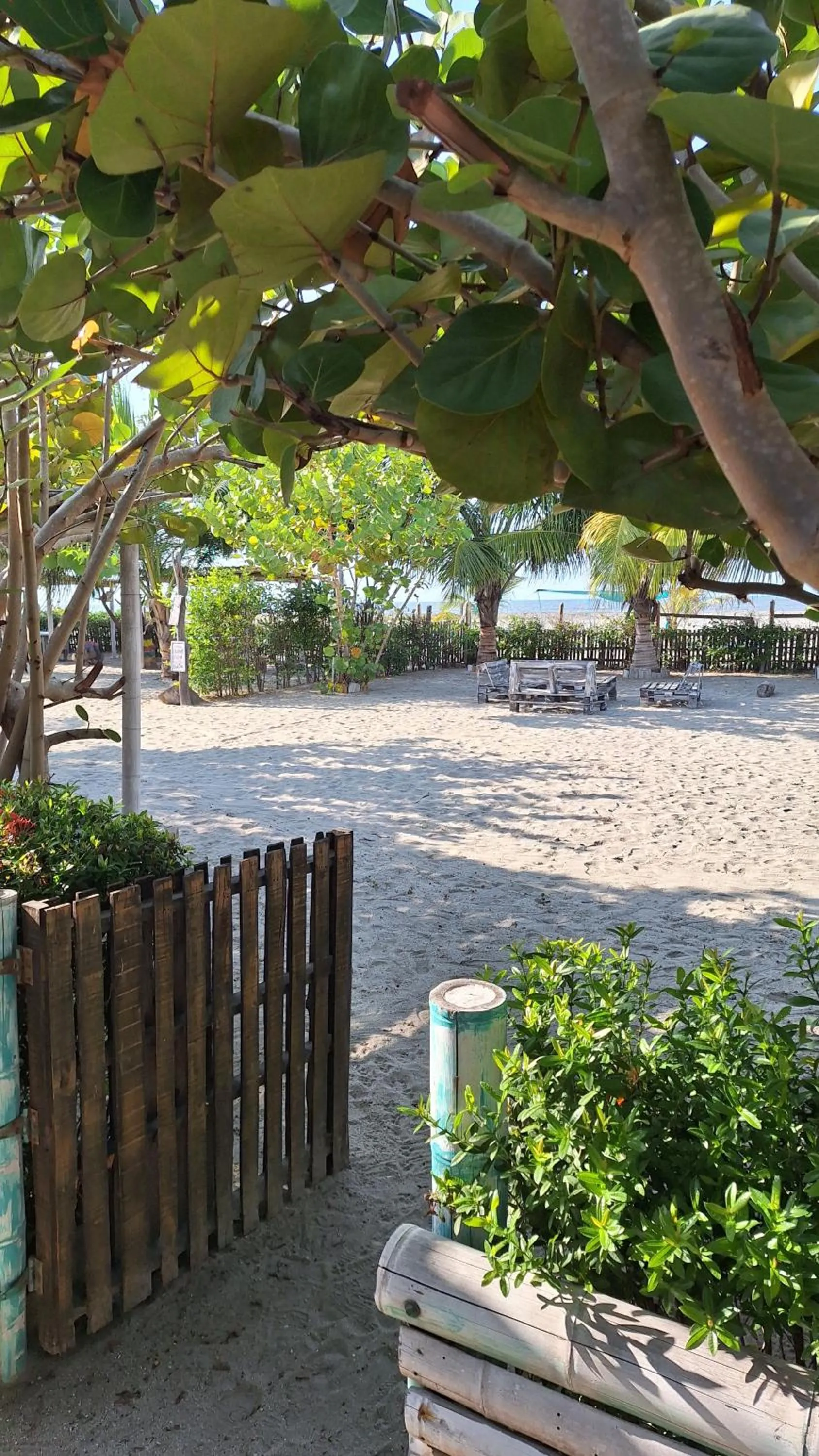 Natural landscape in Eco-Hotel Chevere Beach