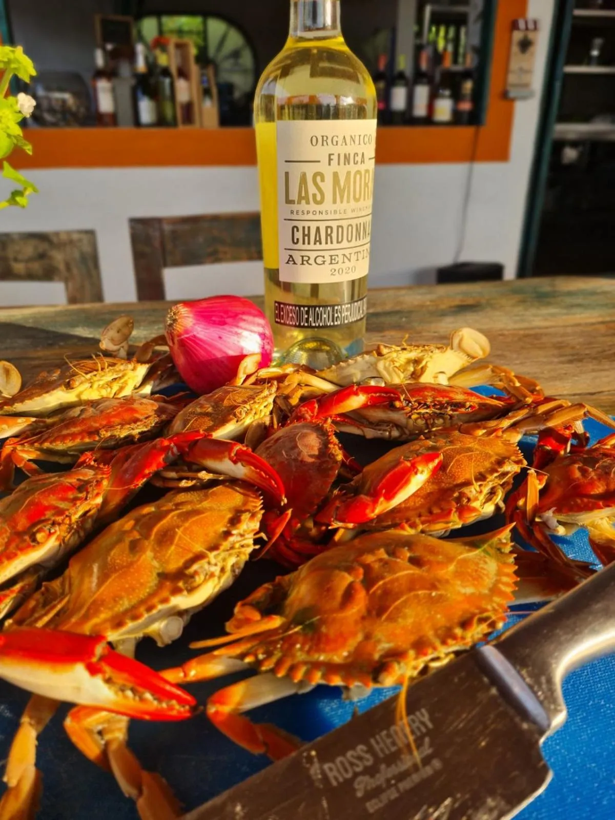 Restaurant/places to eat in Eco-Hotel Chevere Beach