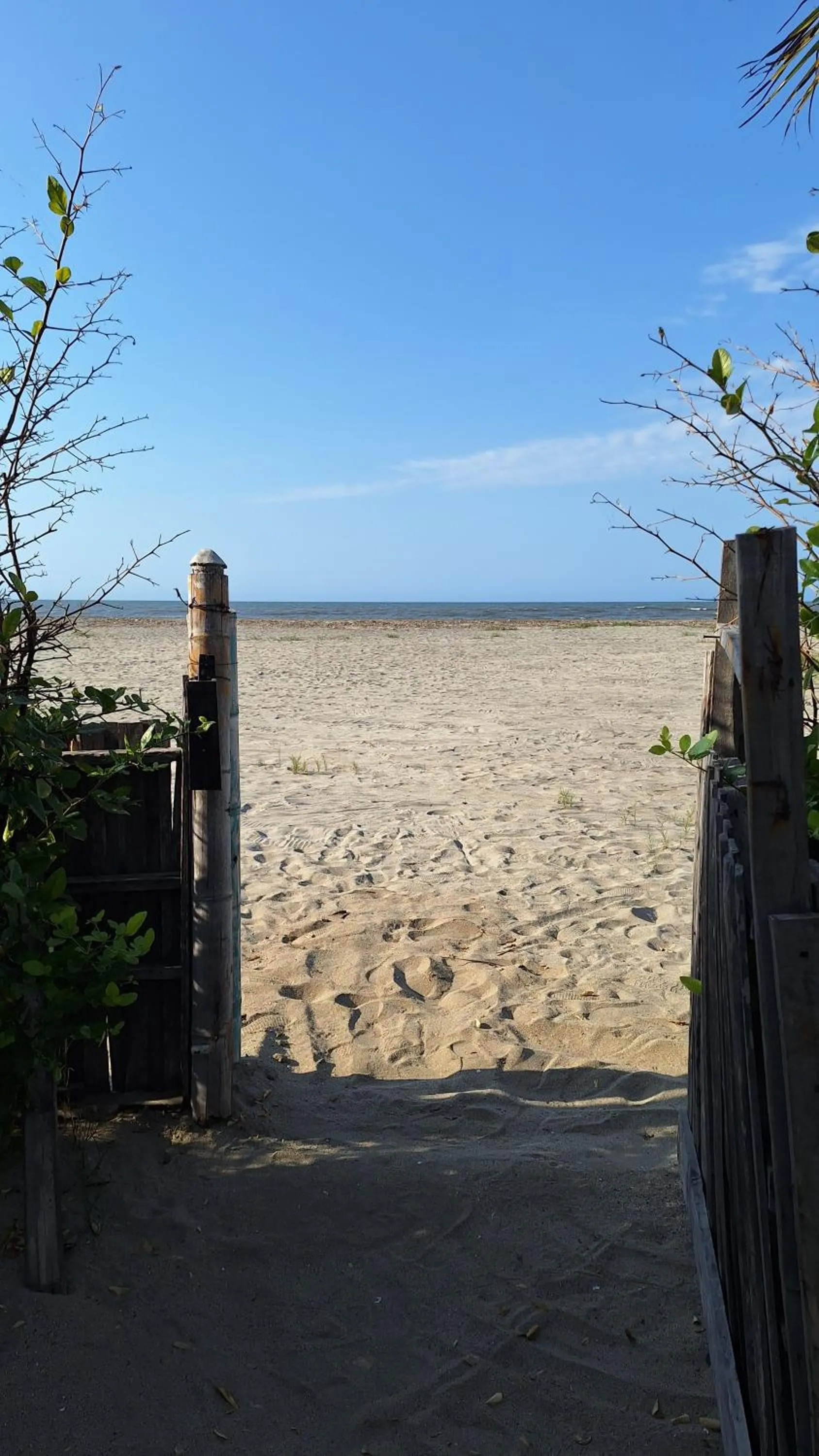 Beach in Eco-Hotel Chevere Beach