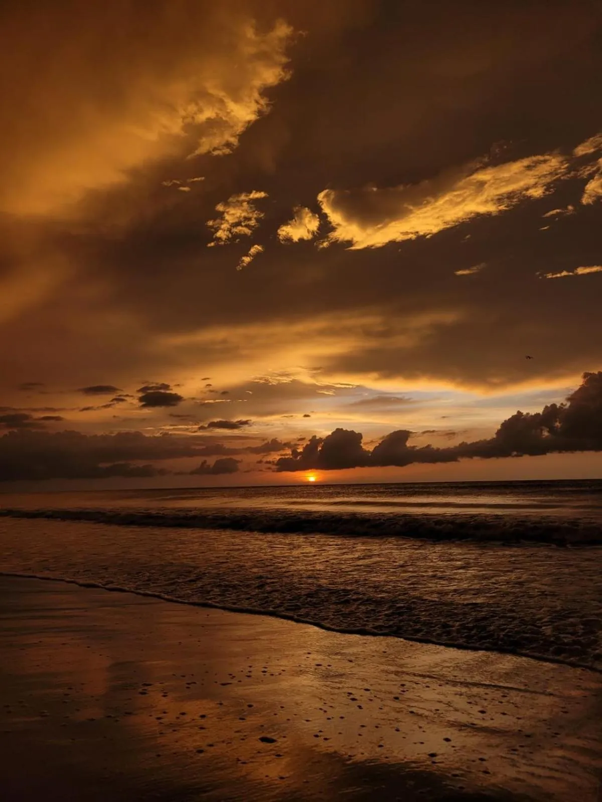 Beach in Eco-Hotel Chevere Beach