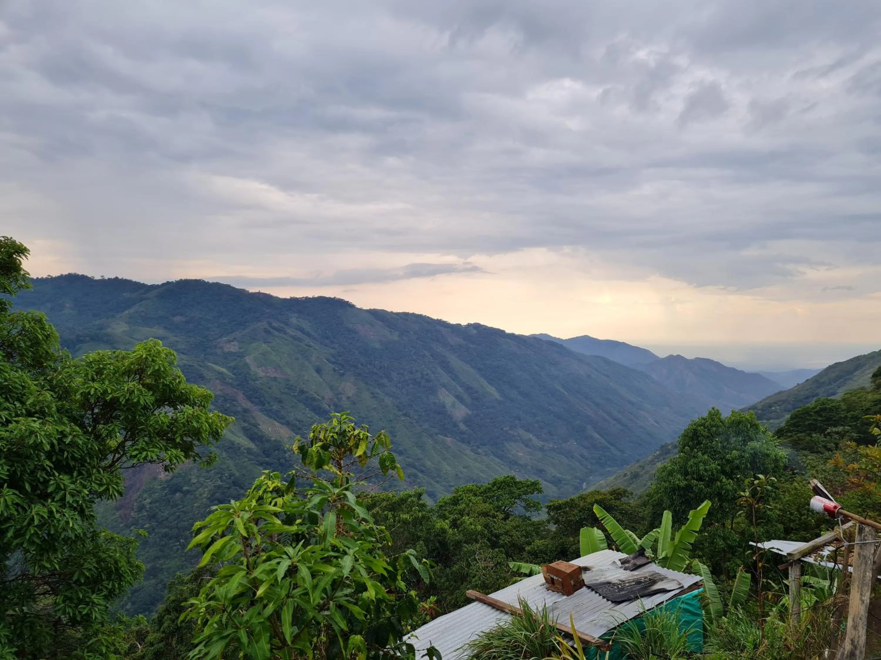 Activities in Eco-Hotel Chevere Beach