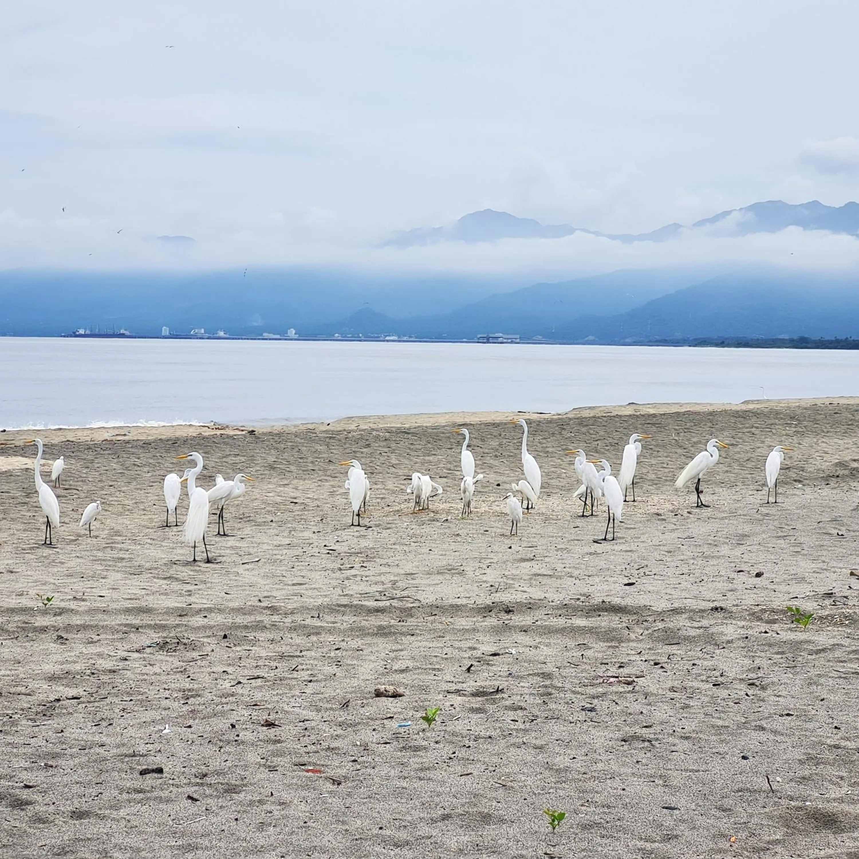 Beach in Eco-Hotel Chevere Beach