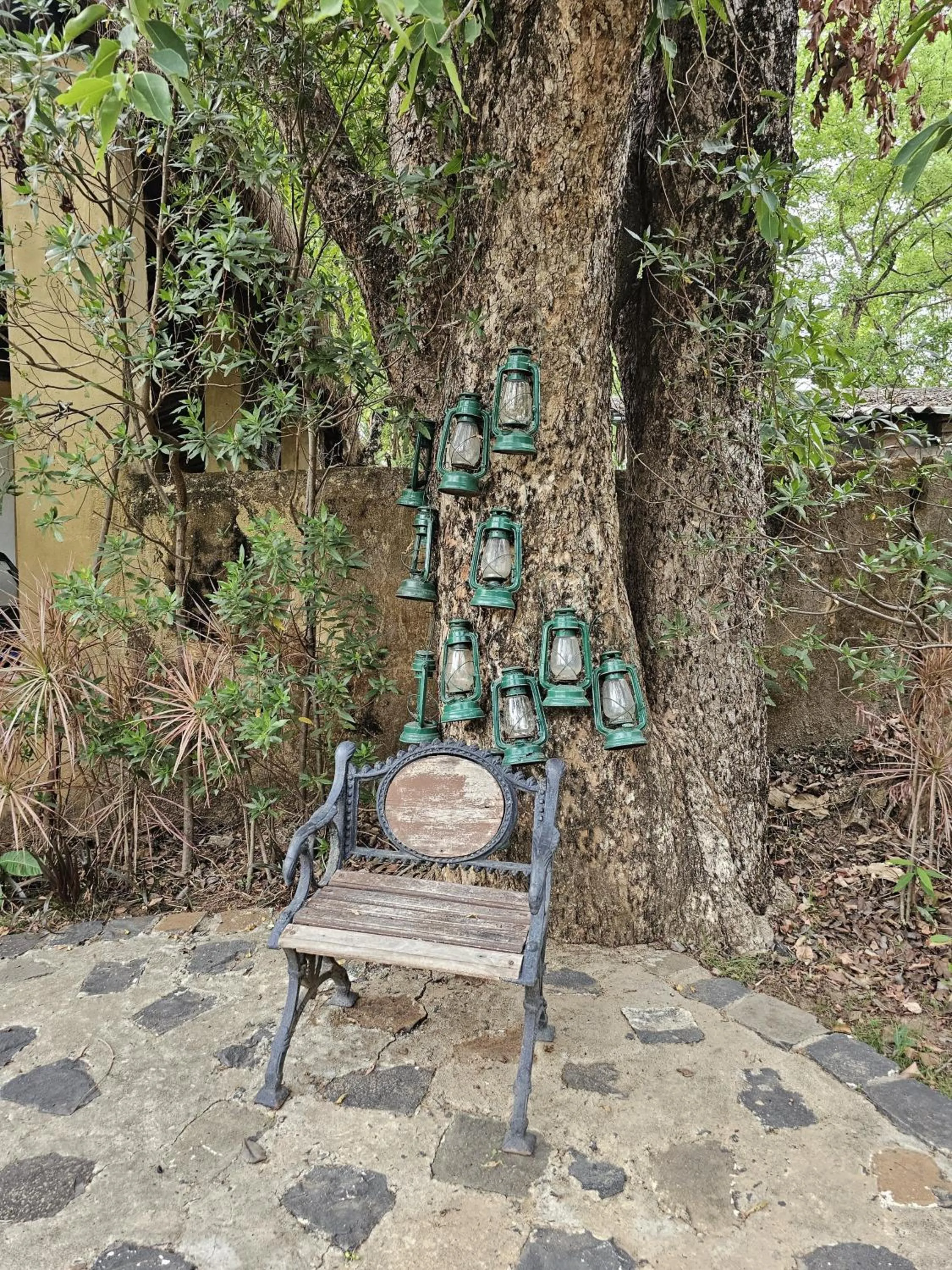 Garden in The Celebration Van Vilas