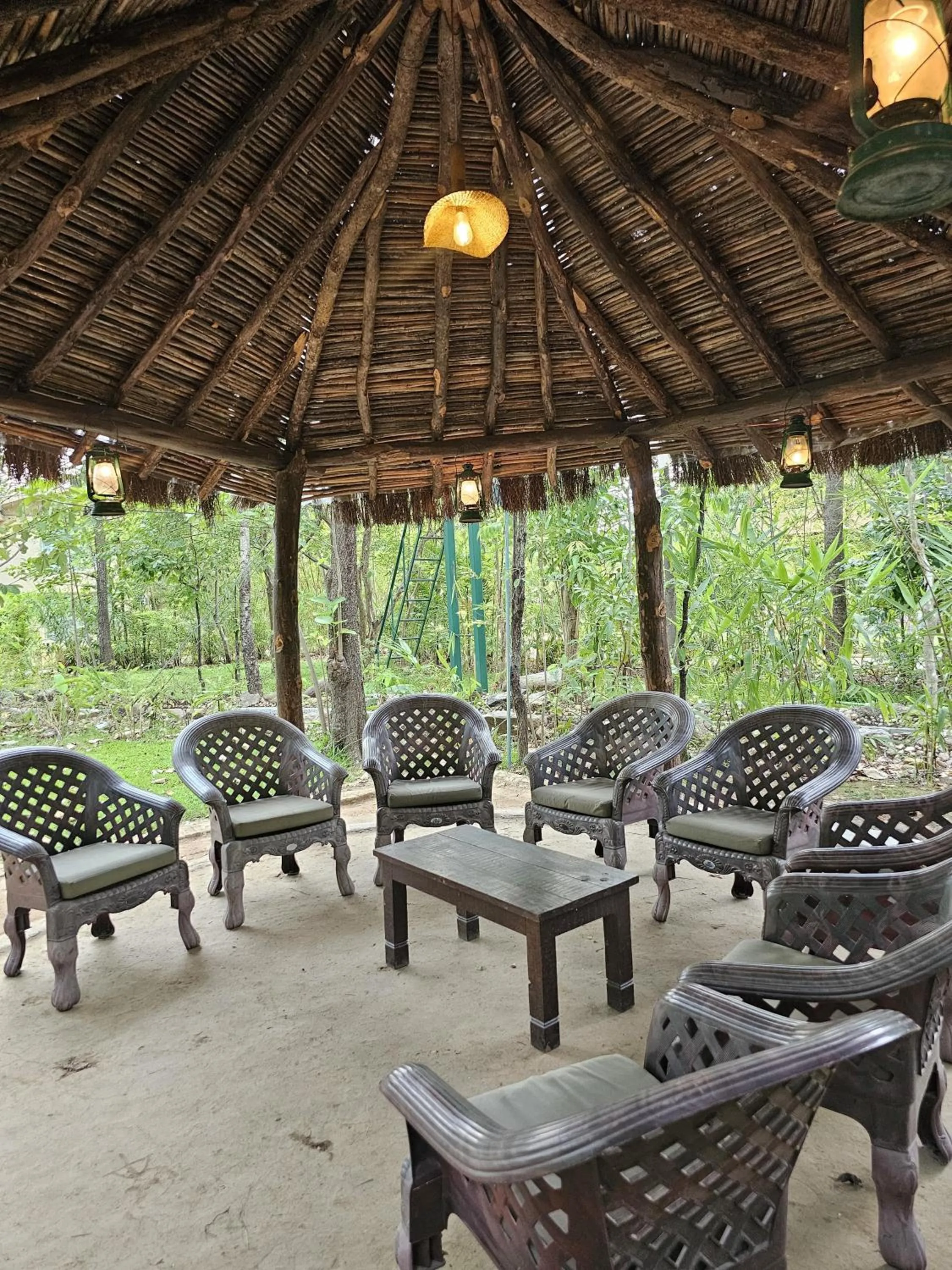 Day in The Celebration Van Vilas