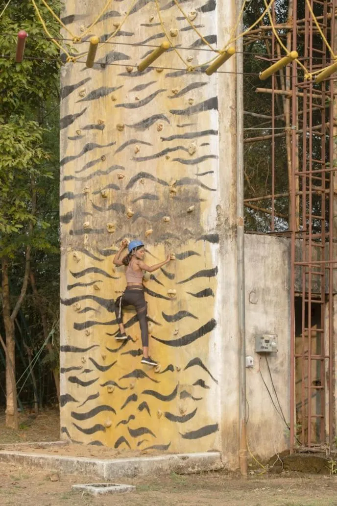 Day in The Celebration Van Vilas