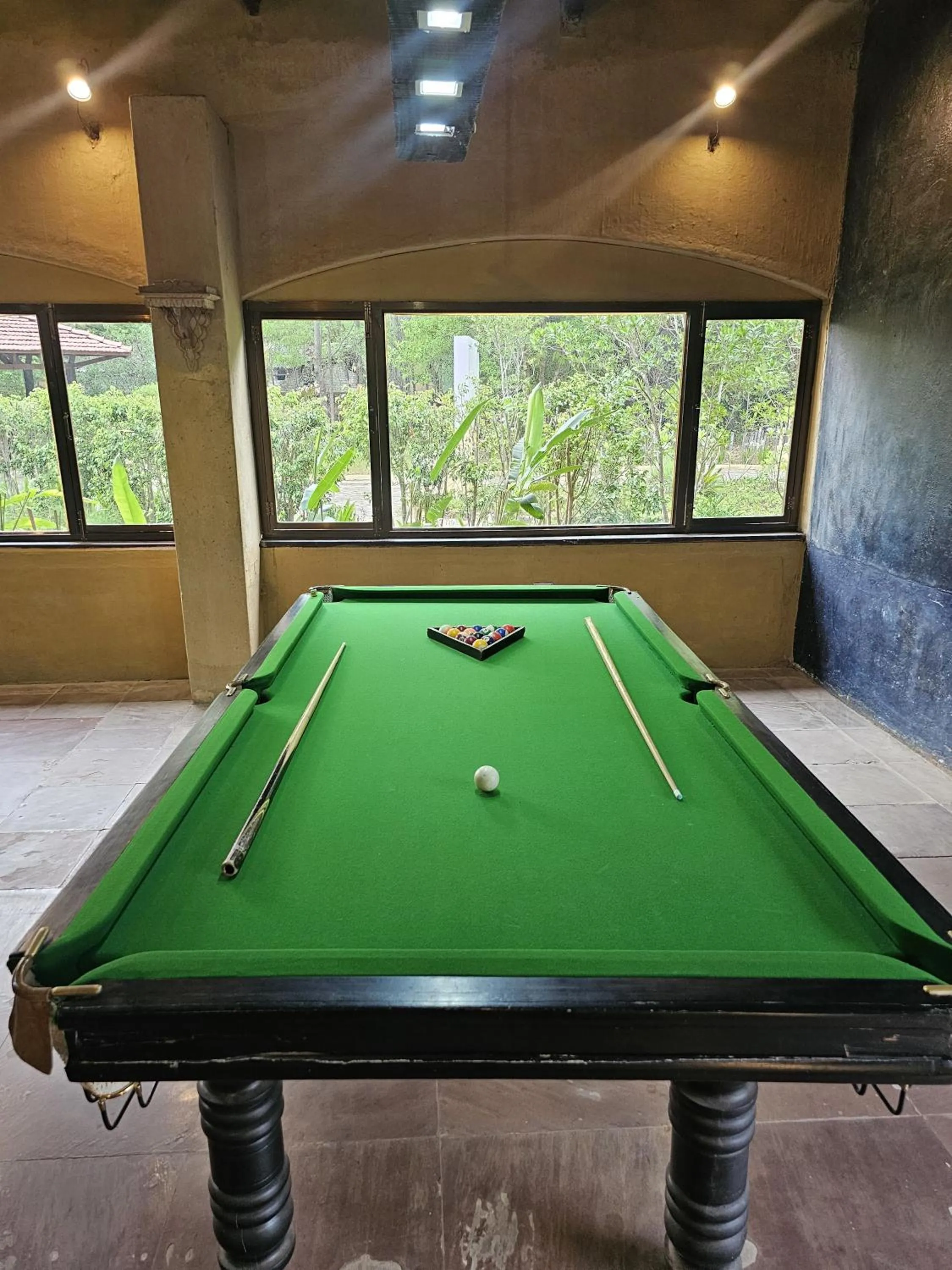 Game Room in The Celebration Van Vilas