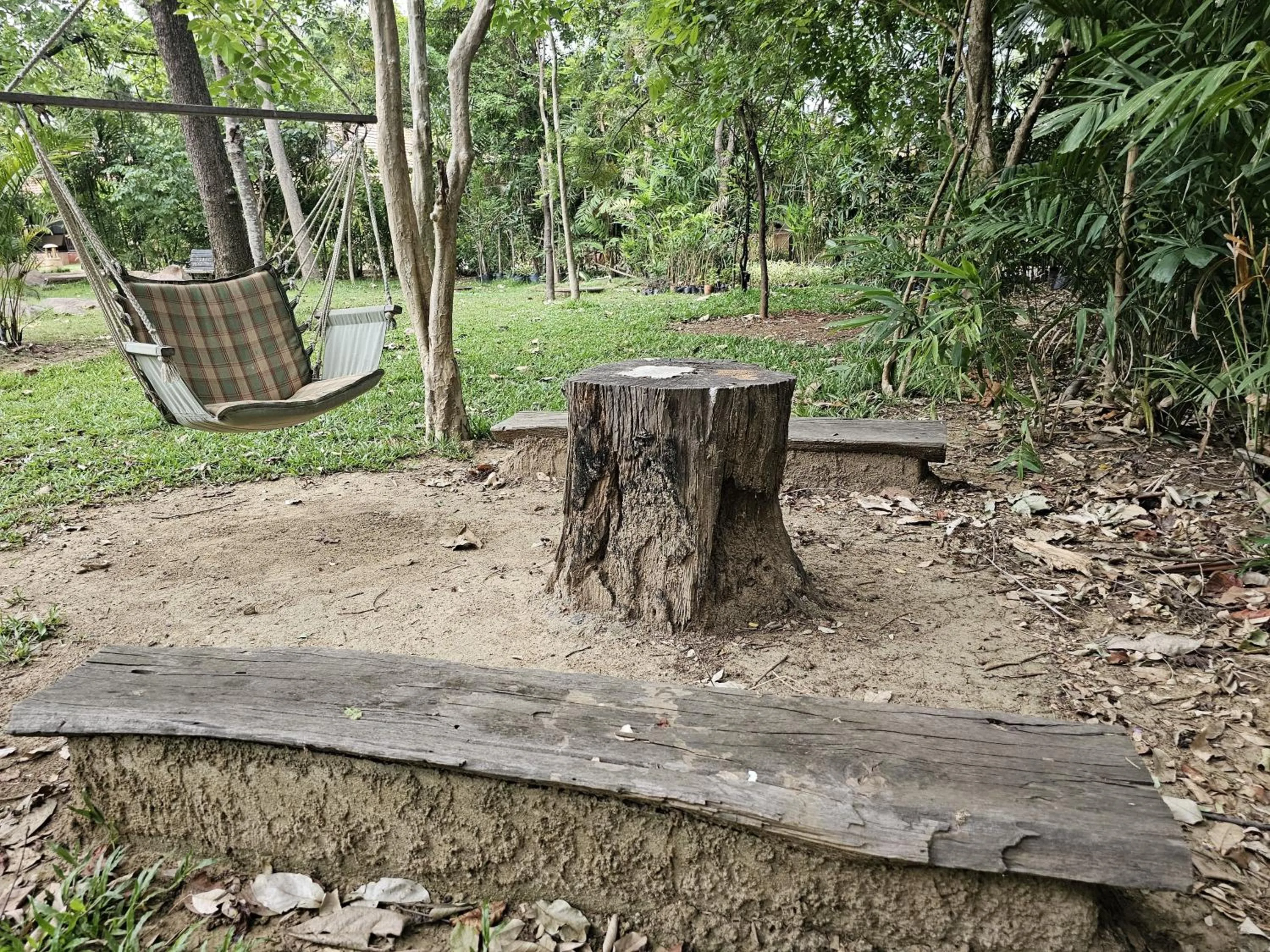 Natural landscape in The Celebration Van Vilas